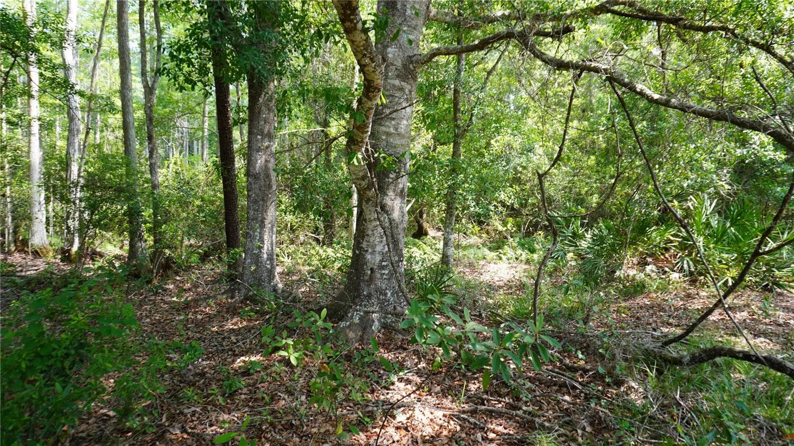 Land at ASPEN MEADOWS, POLK CITY, photo 14 of 16