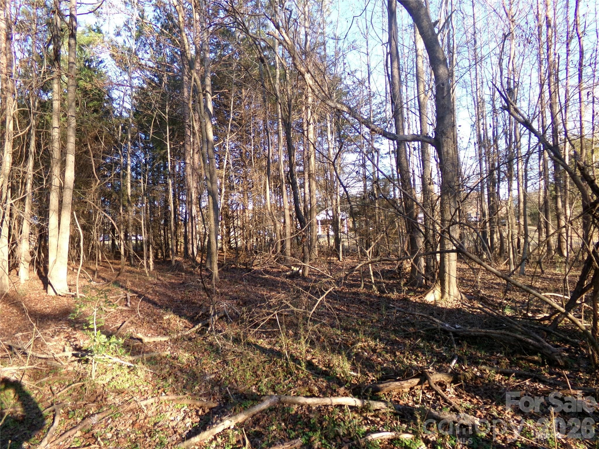 Business at Albemarle, photo 4 of 20