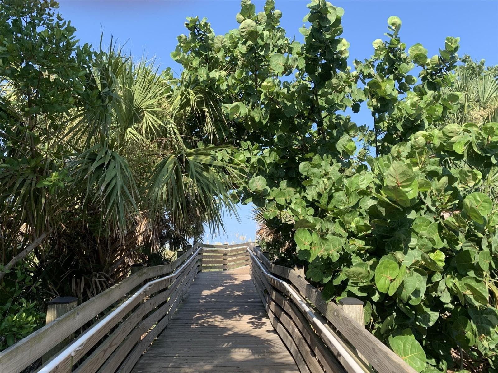 Another Entrance to the Venice Beaches - 1226 PINE NEEDLE RD, VENICE