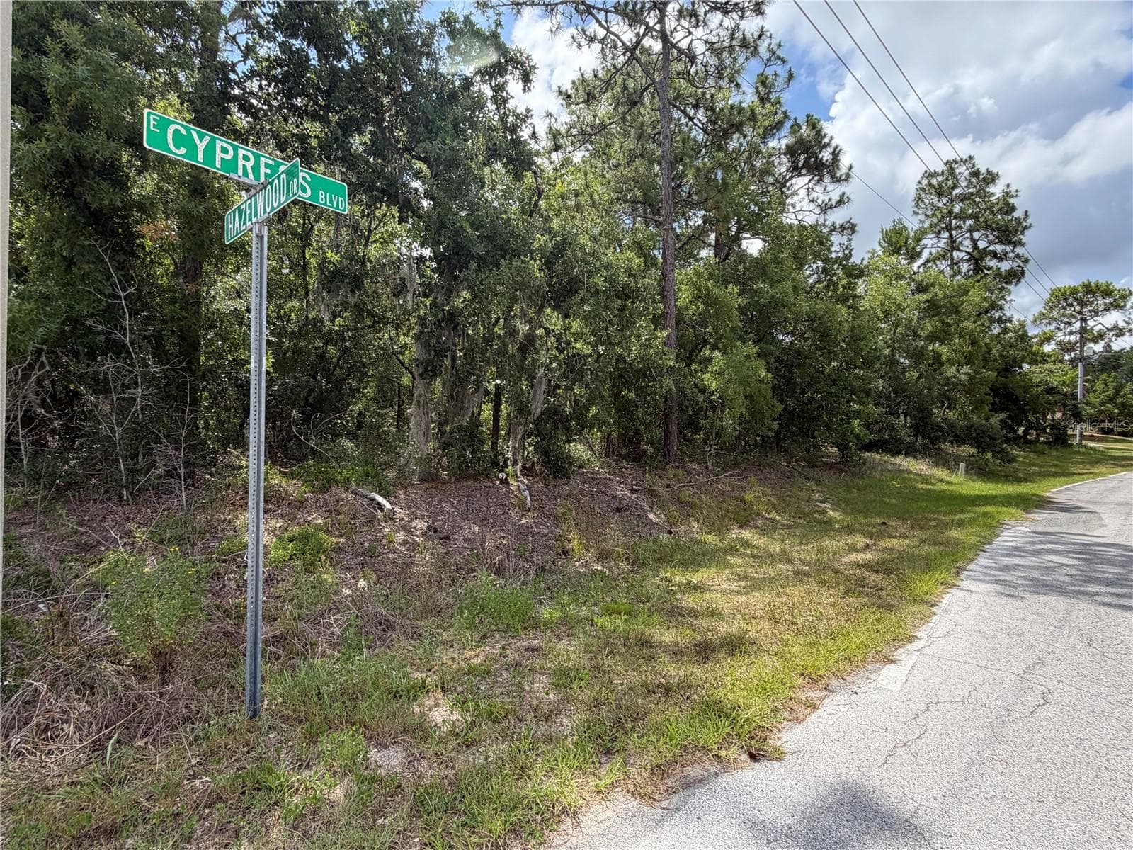 Land at 1 HAZELWOOD DR, HOMOSASSA, photo 6 of 7