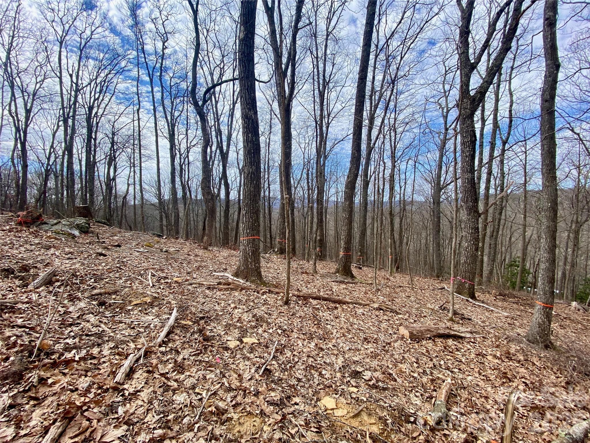 Lot at TBD Old Chestnut Mountain Road, Newland, photo 2 of 33