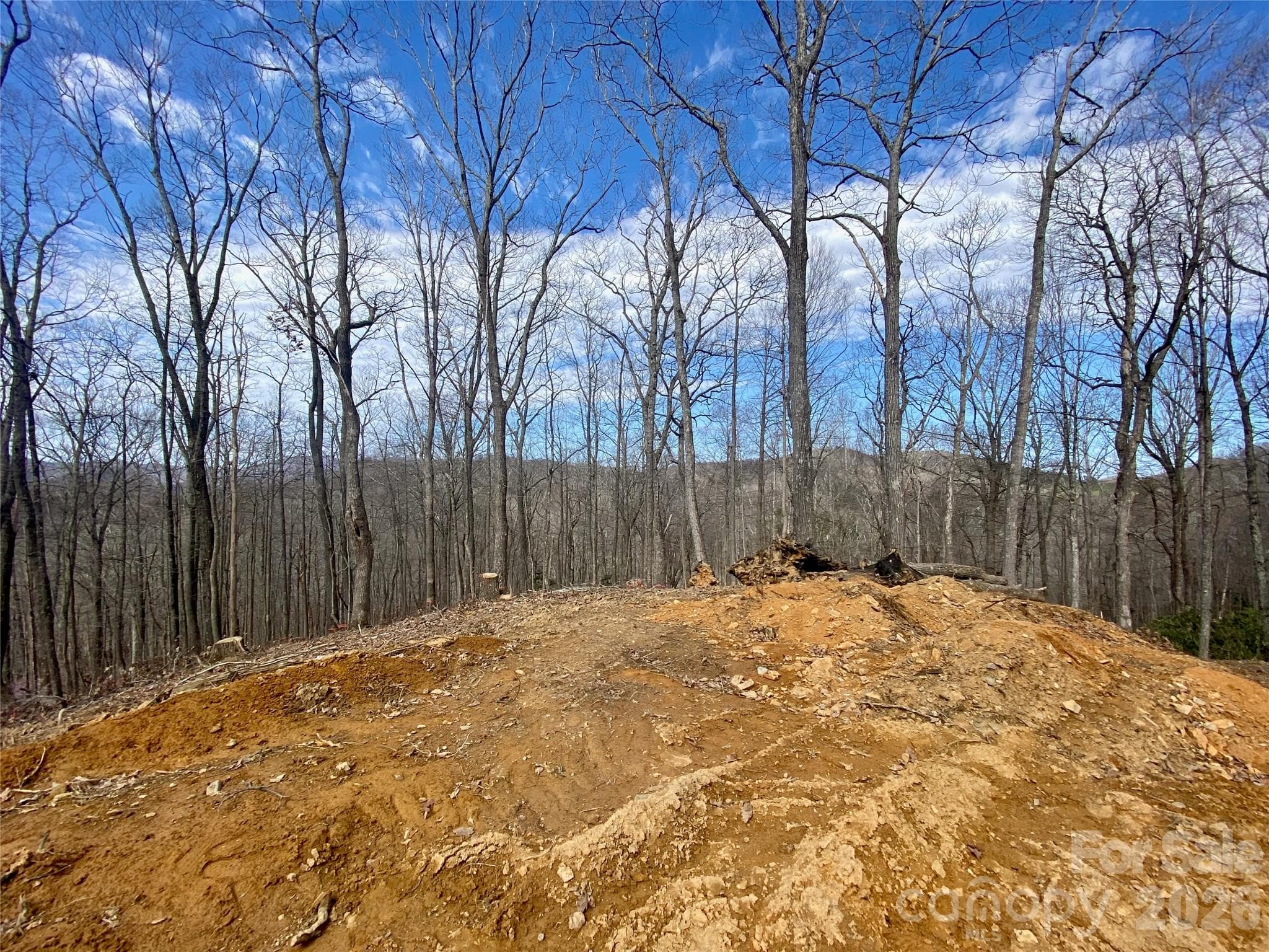 Lot at TBD Old Chestnut Mountain Road, Newland, photo 3 of 33