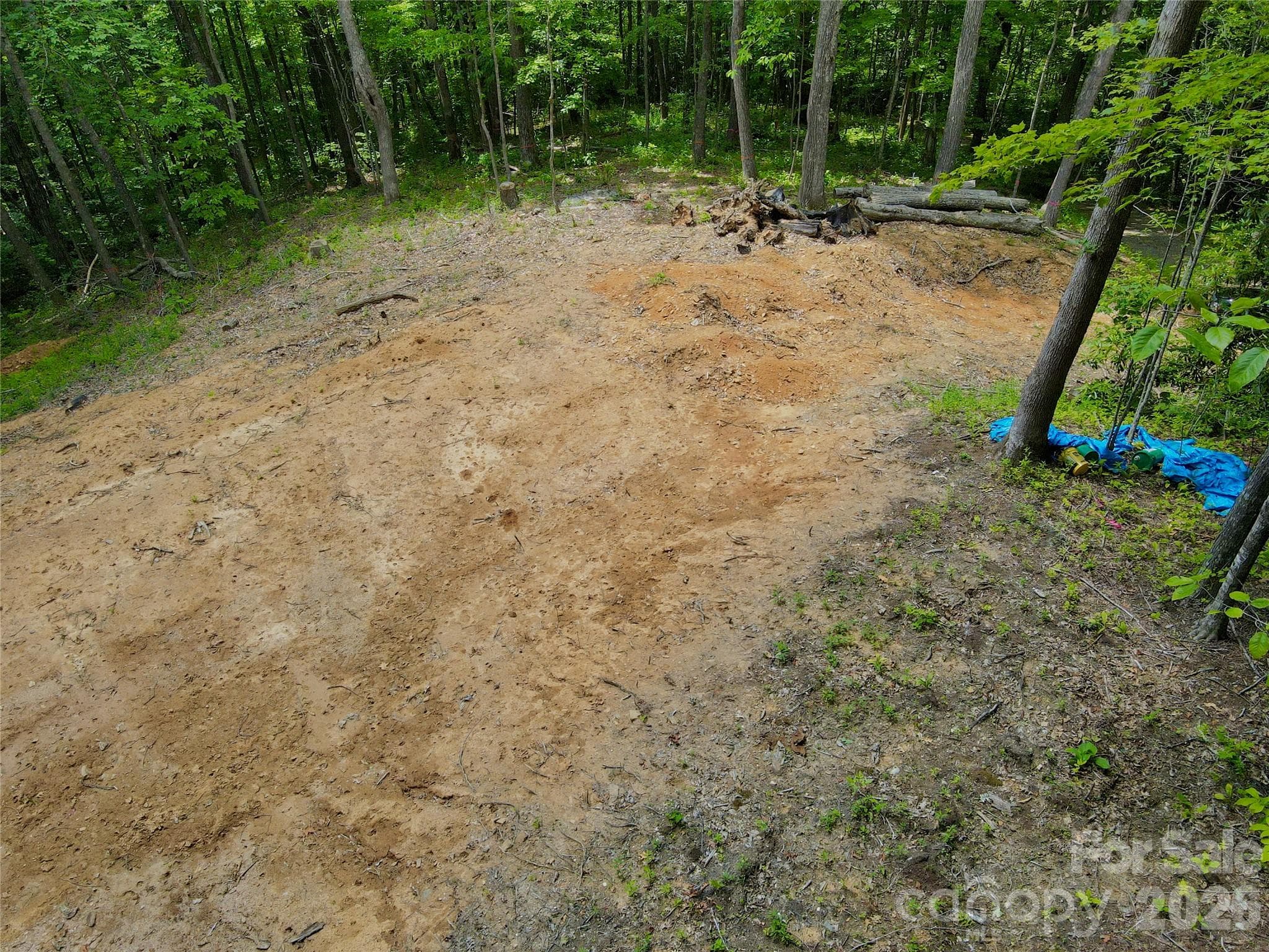 Lot at TBD Old Chestnut Mountain Road, Newland, photo 5 of 33