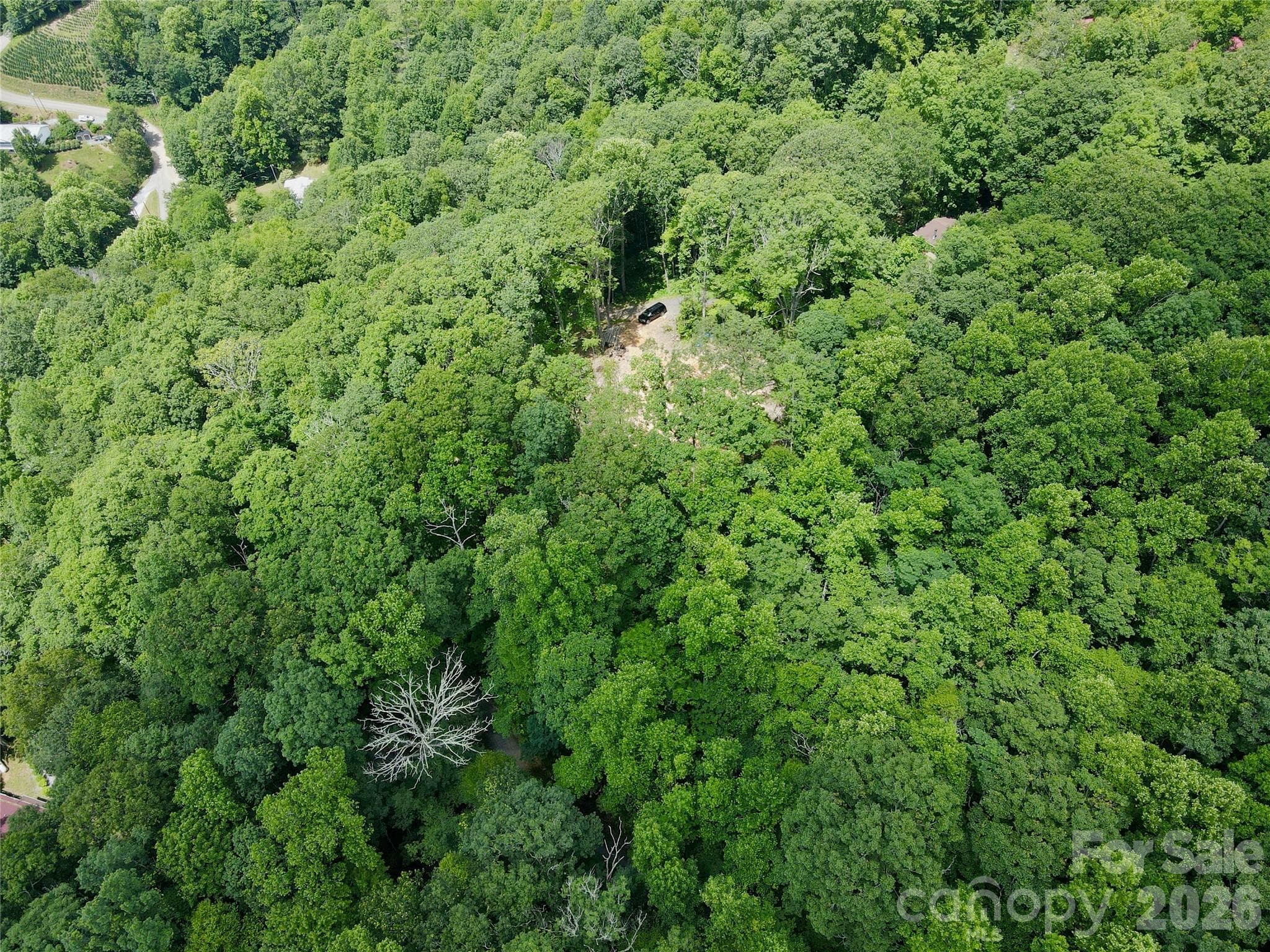 Lot at TBD Old Chestnut Mountain Road, Newland, photo 15 of 33