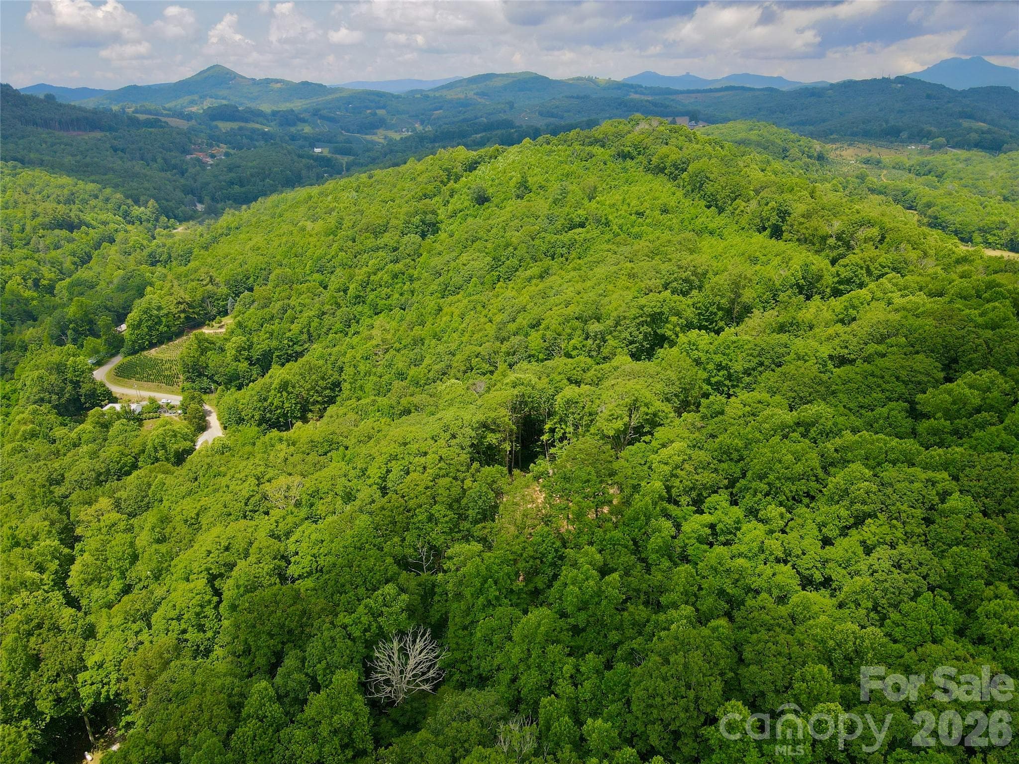 Lot at TBD Old Chestnut Mountain Road, Newland, photo 16 of 33