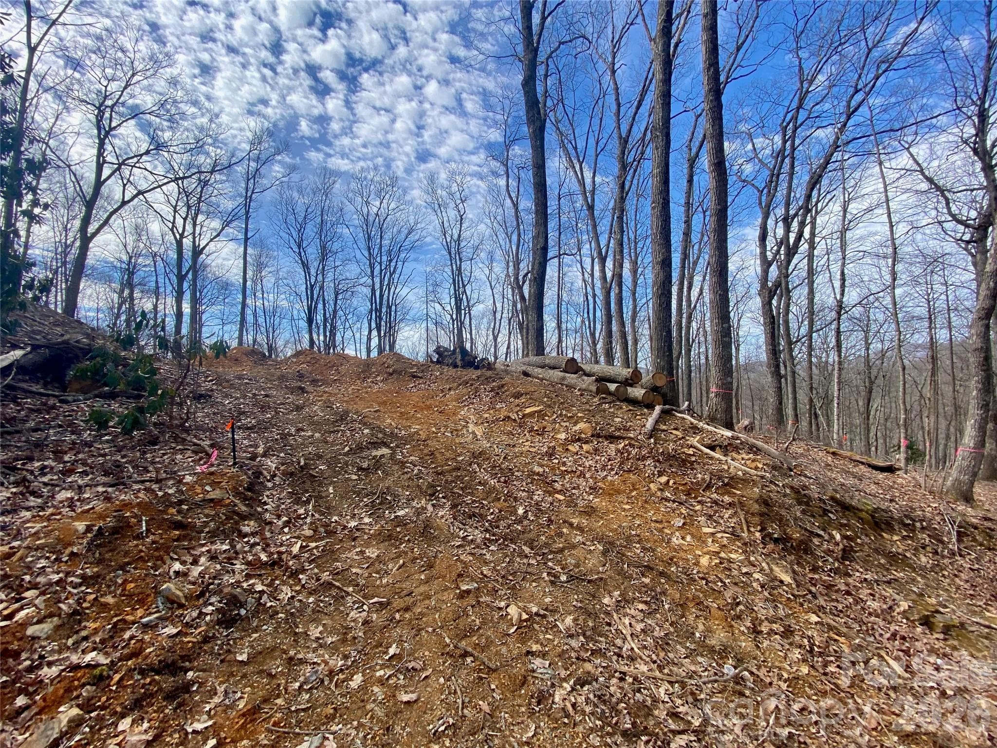 Lot at TBD Old Chestnut Mountain Road, Newland, photo 19 of 33