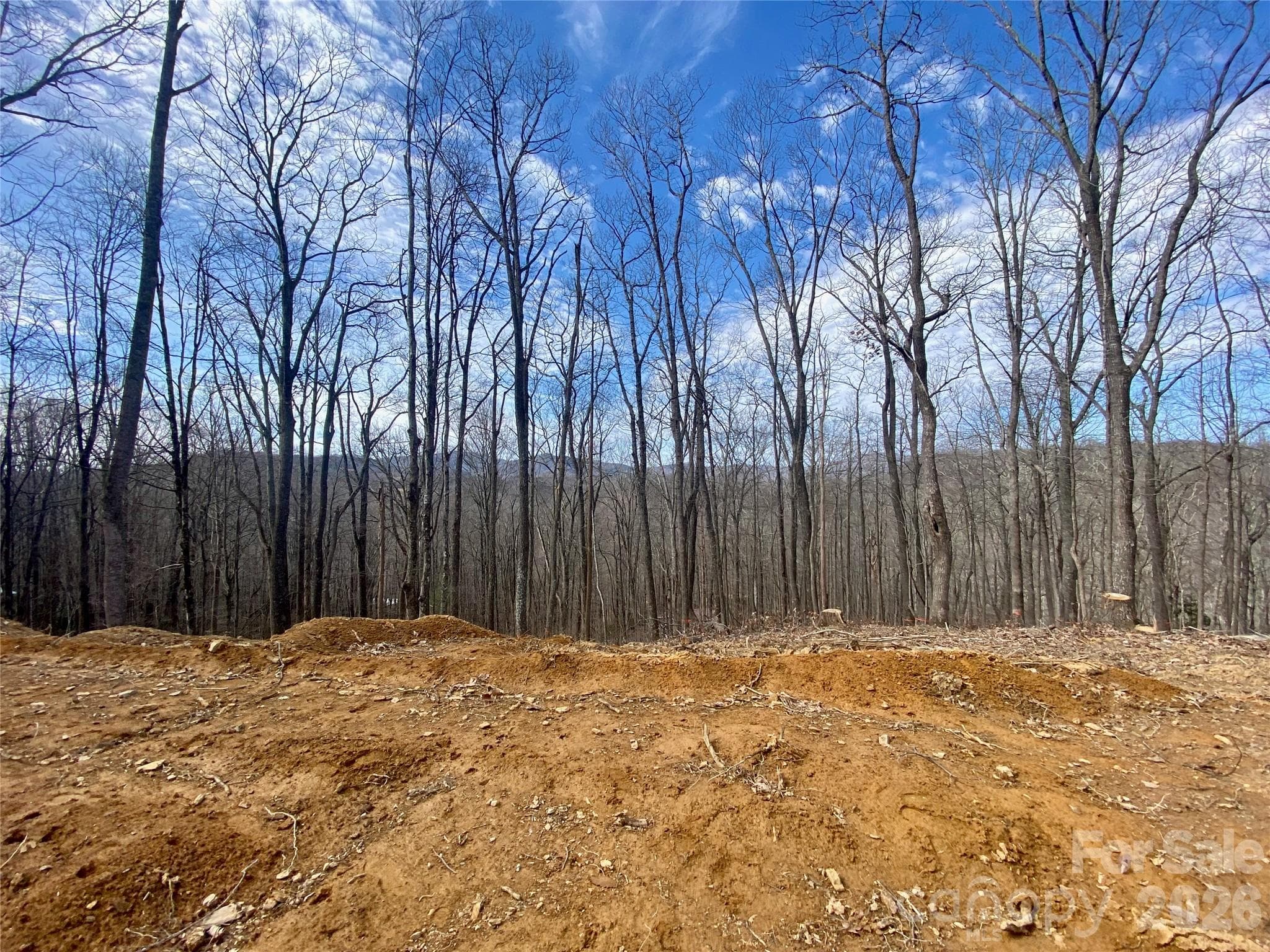 Lot at TBD Old Chestnut Mountain Road, Newland, photo 23 of 33