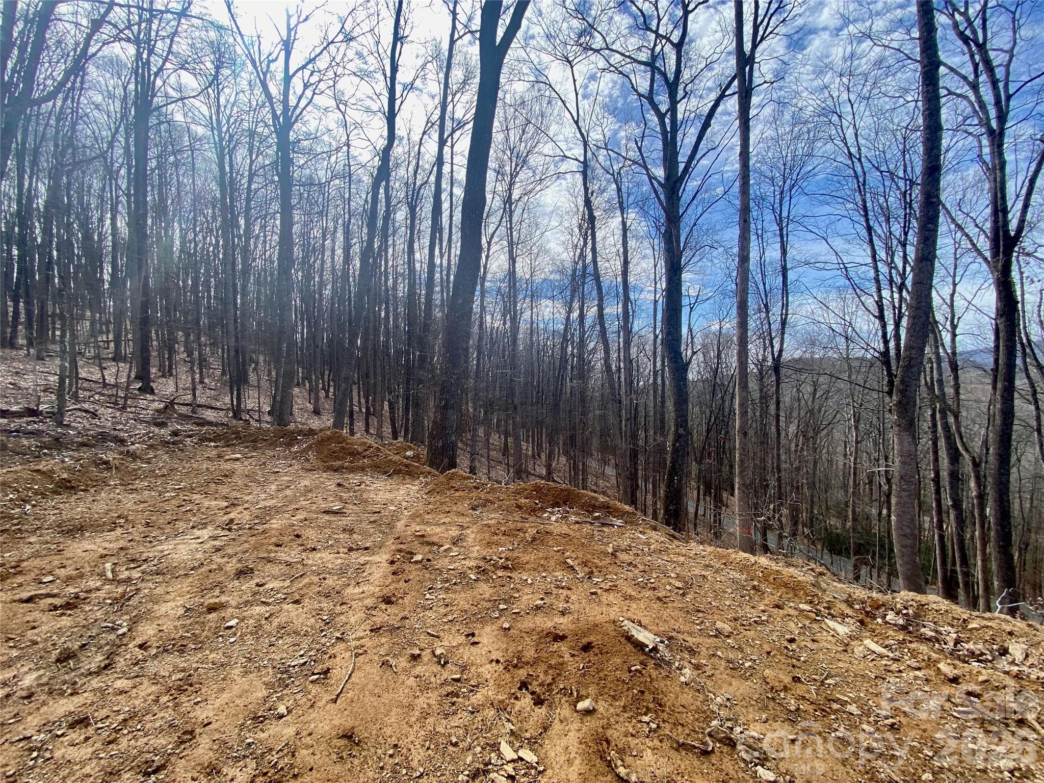 Lot at TBD Old Chestnut Mountain Road, Newland, photo 24 of 33