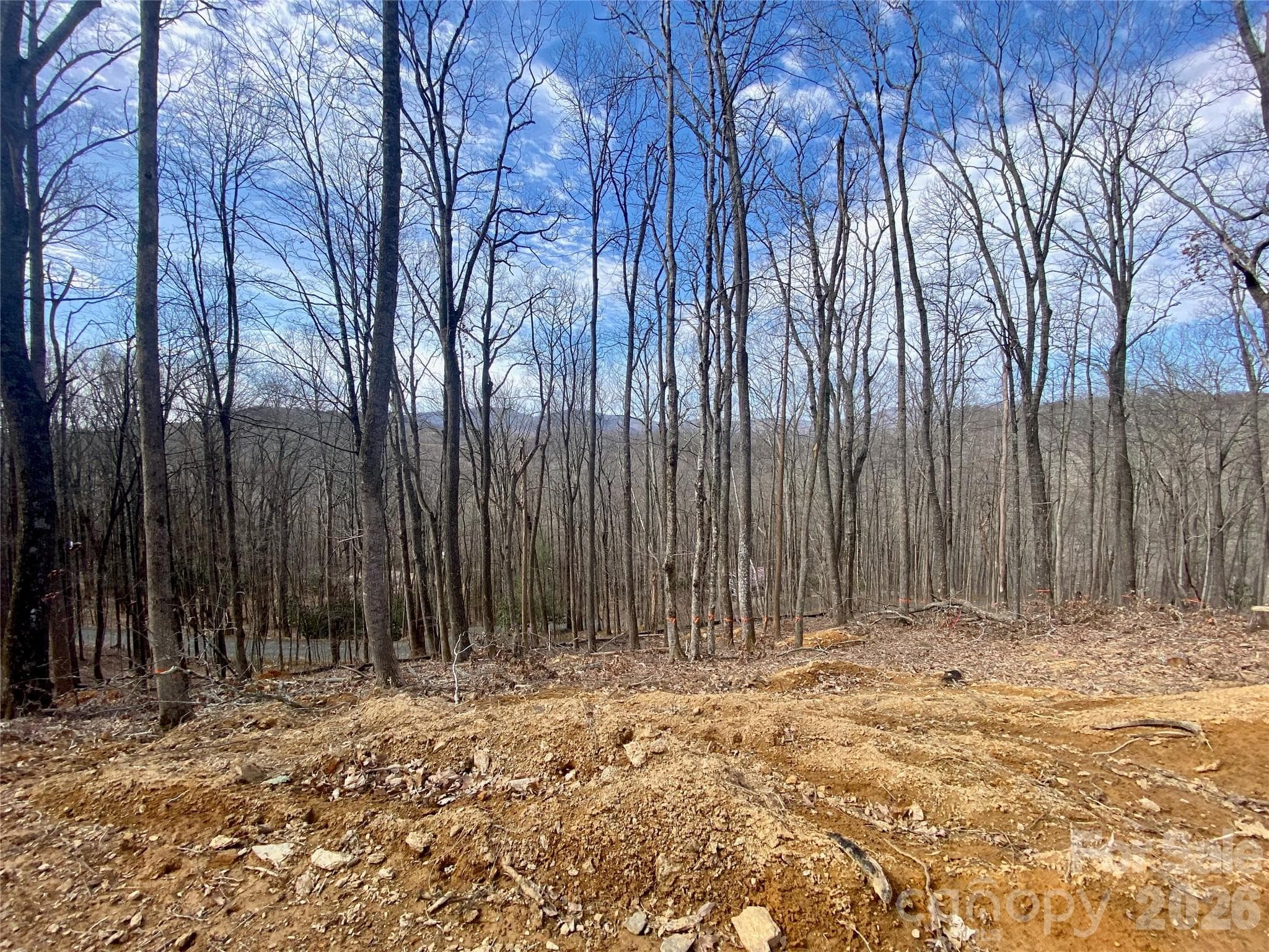 Lot at TBD Old Chestnut Mountain Road, Newland, photo 25 of 33