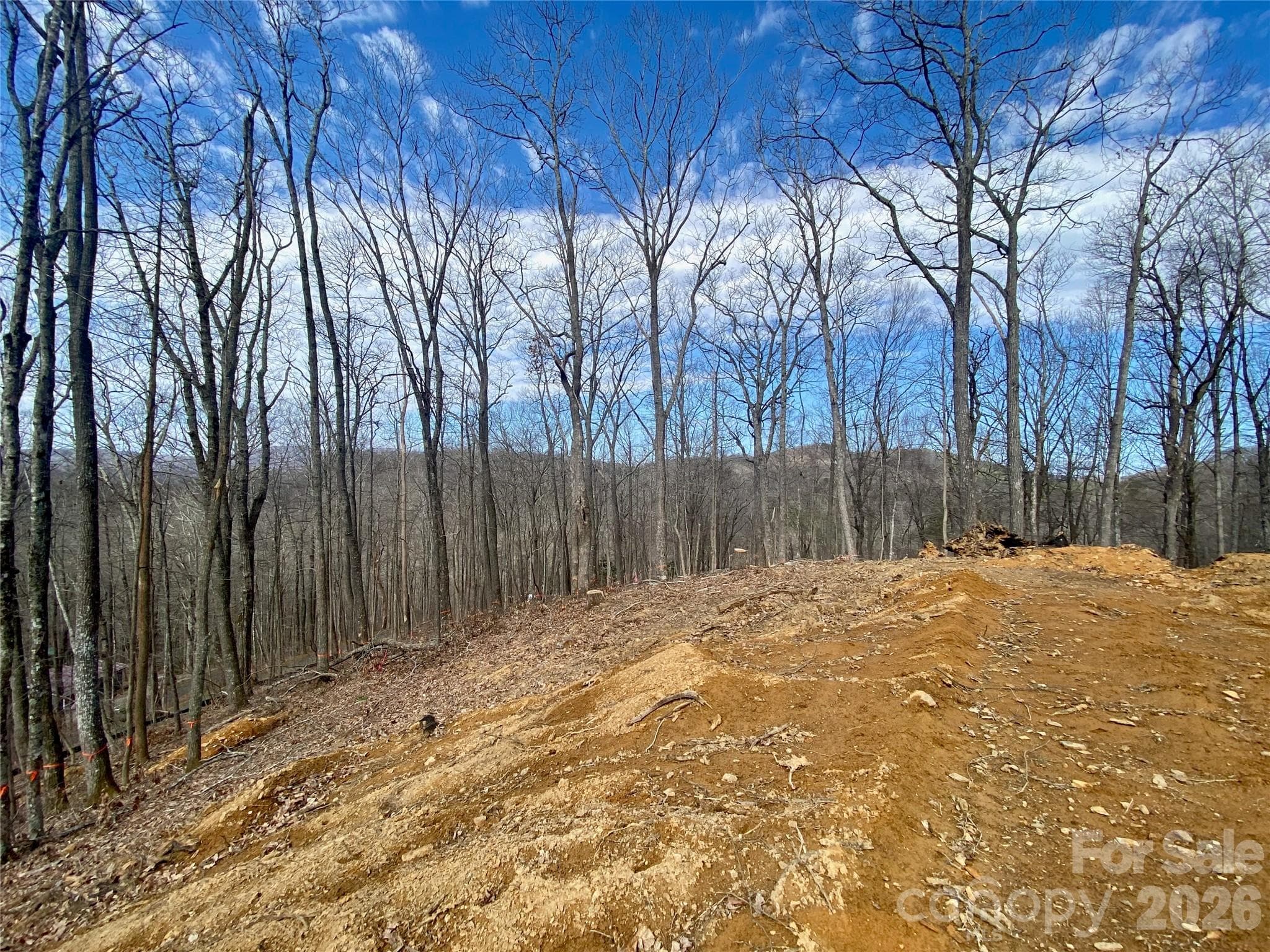 Lot at TBD Old Chestnut Mountain Road, Newland, photo 26 of 33