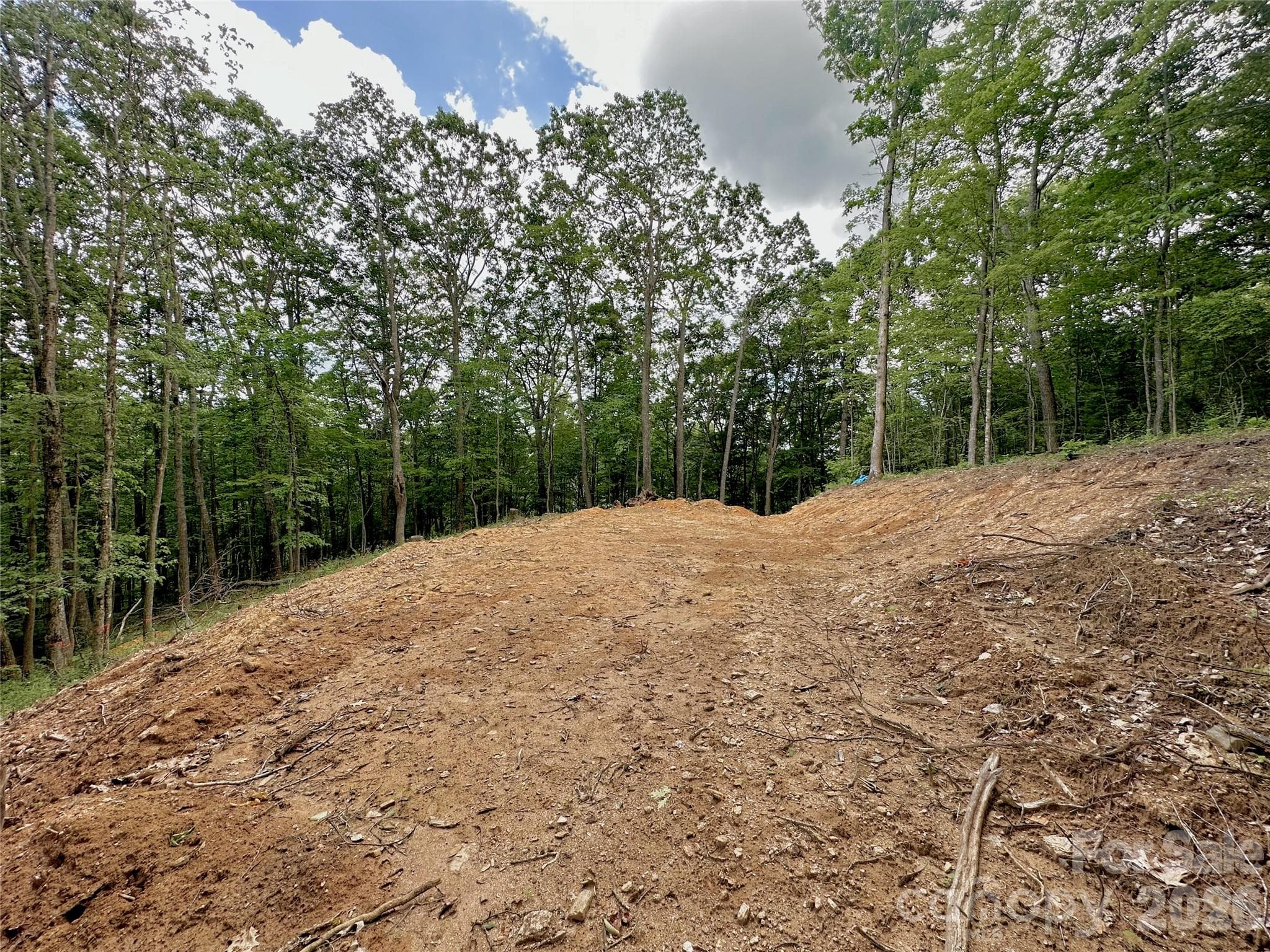 Lot at TBD Old Chestnut Mountain Road, Newland, photo 30 of 33