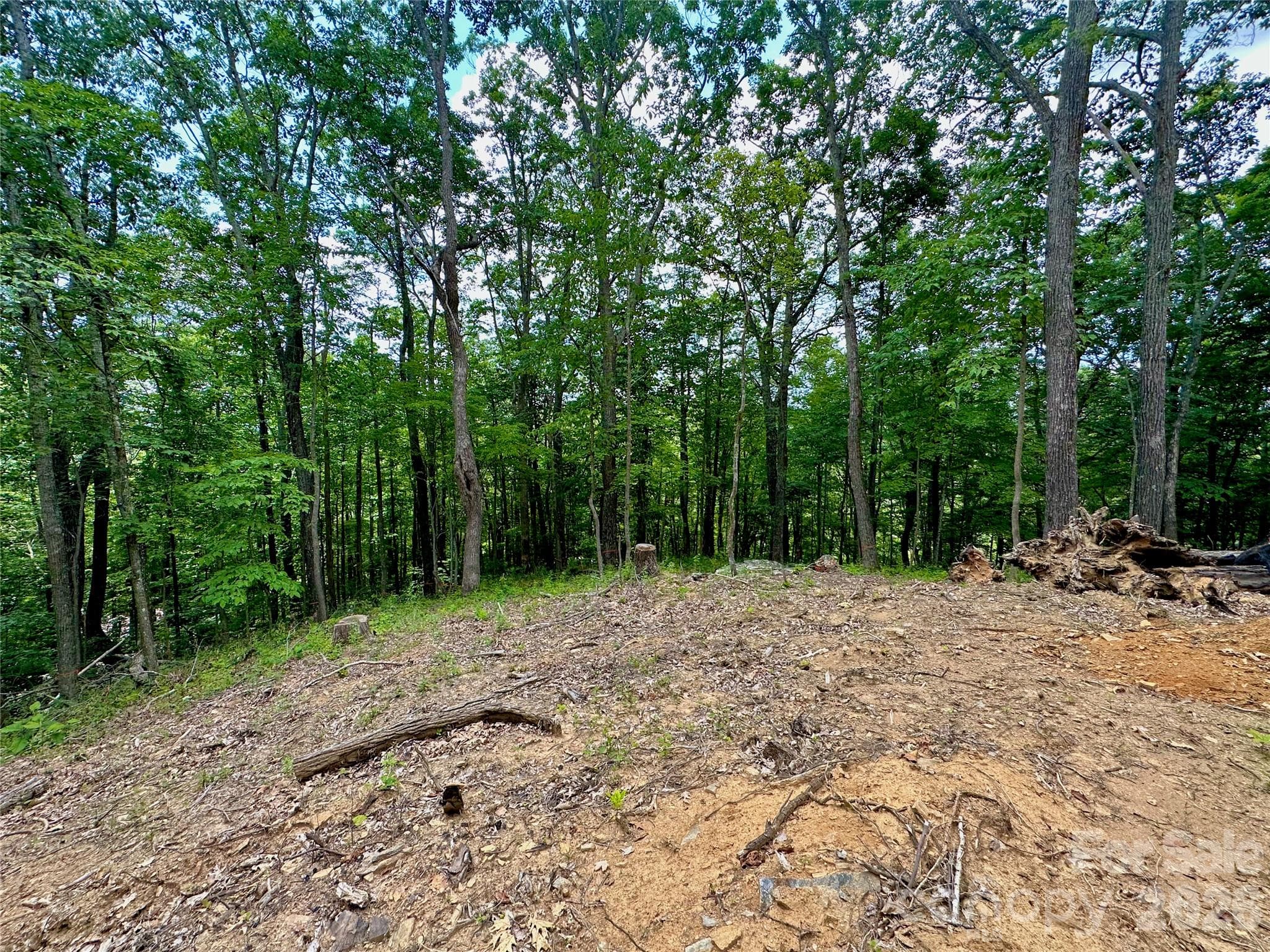 Lot at TBD Old Chestnut Mountain Road, Newland, photo 31 of 33