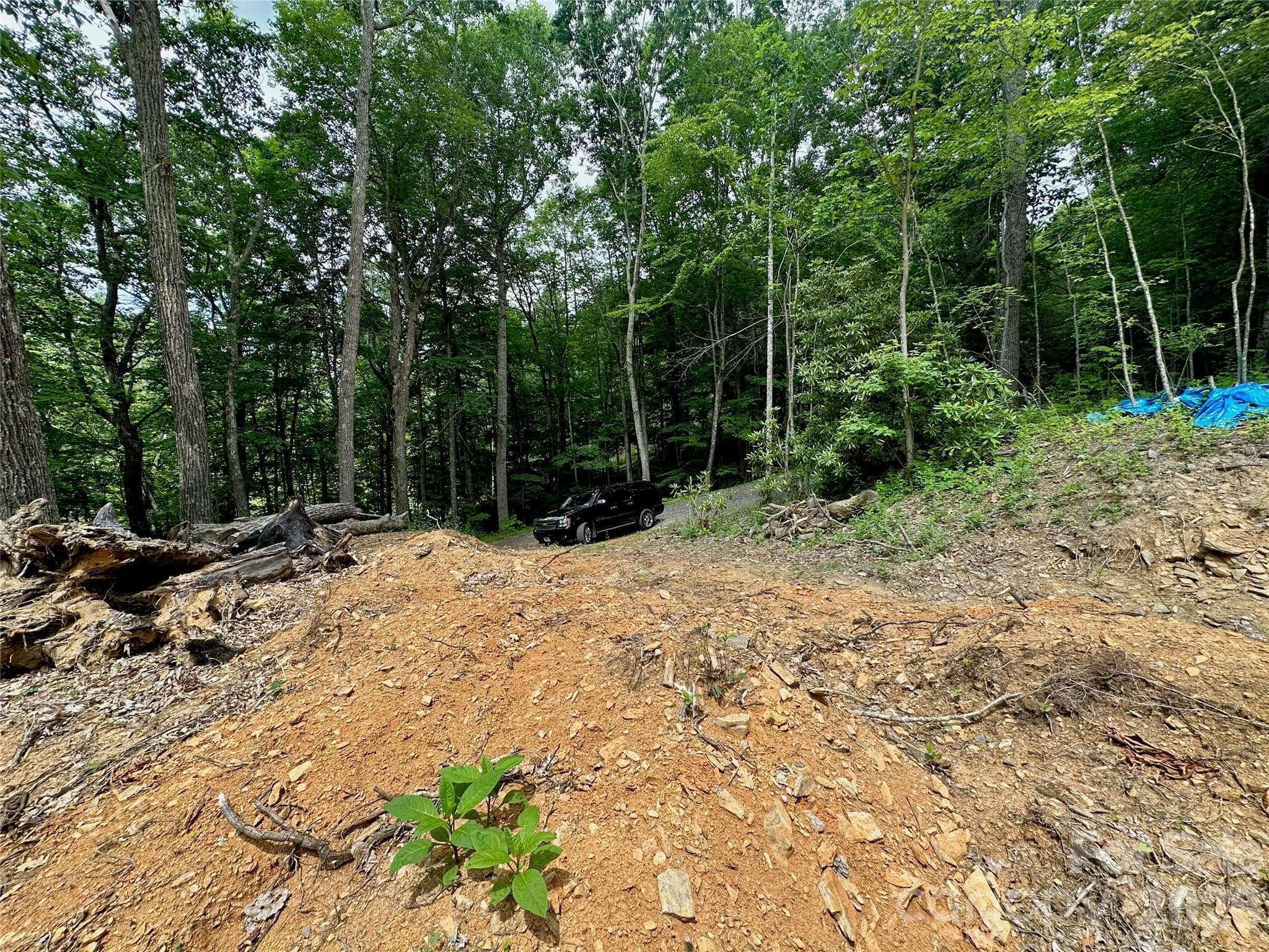 Lot at TBD Old Chestnut Mountain Road, Newland, photo 32 of 33