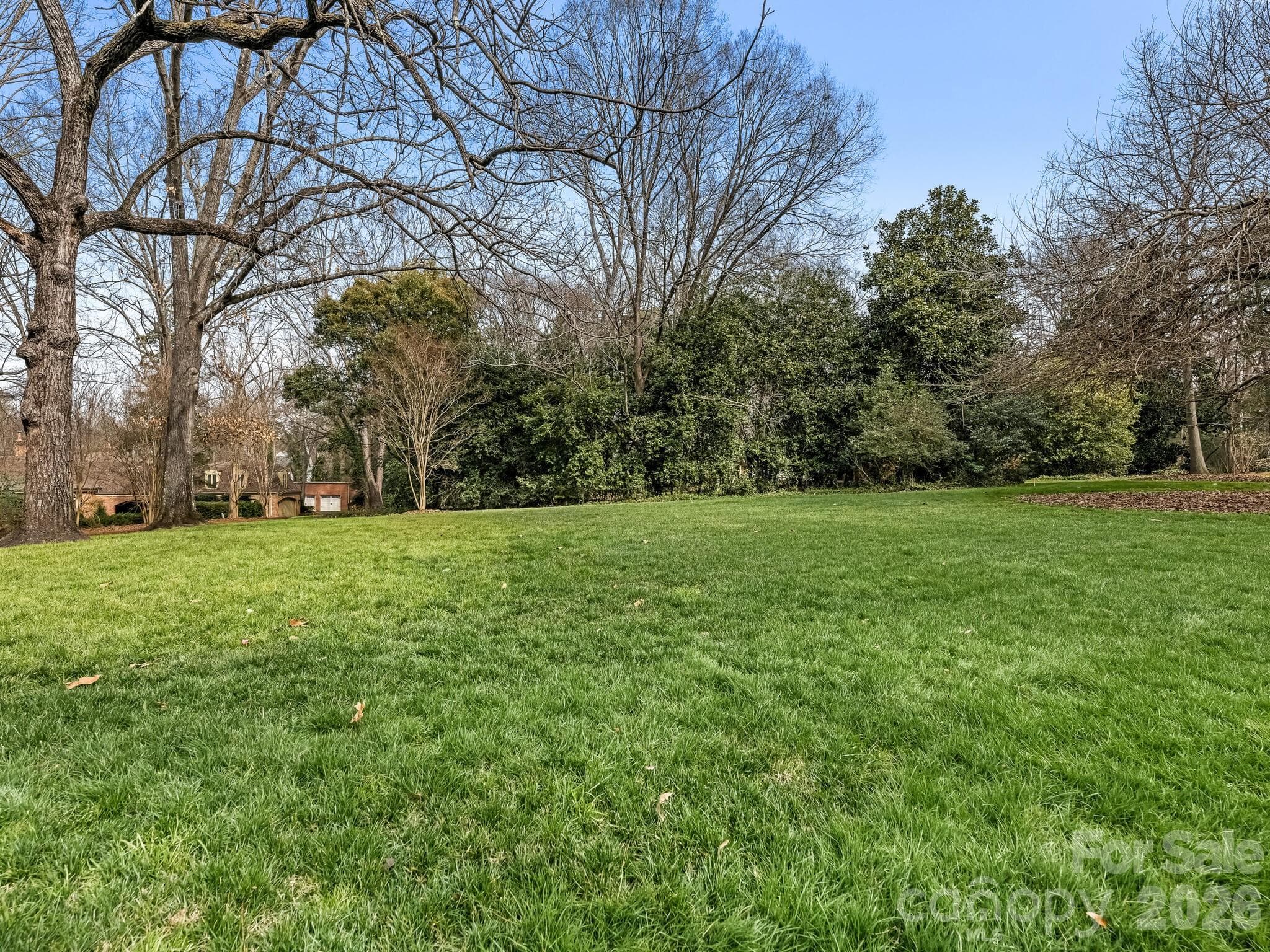 Lot at Charlotte, photo 2 of 4