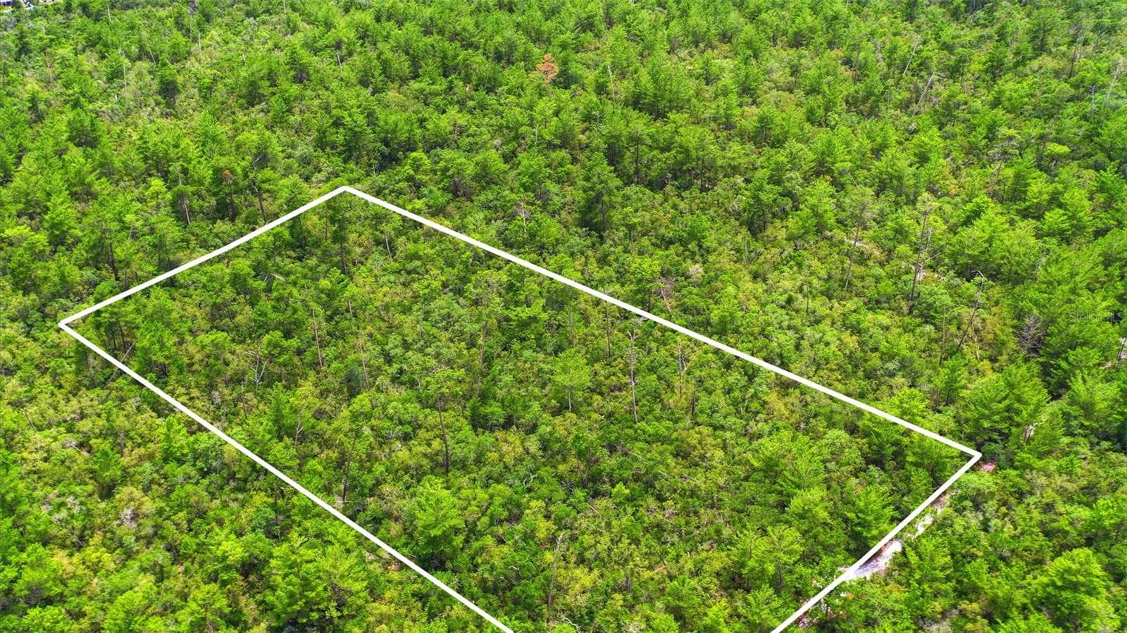 Land at AMELIA (PAPER) AVE, DELTONA, photo 15 of 28