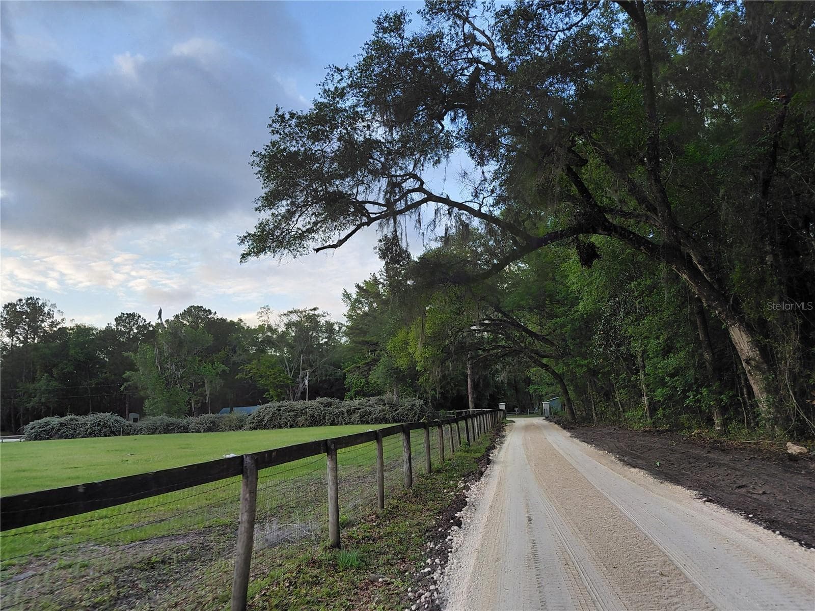 Driveway Tree Tunnel with New Lime rock - 14810 NW 185 ST, WILLISTON