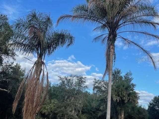 Land at 25800 WASHINGTON ST, ASTATULA, photo 10 of 24