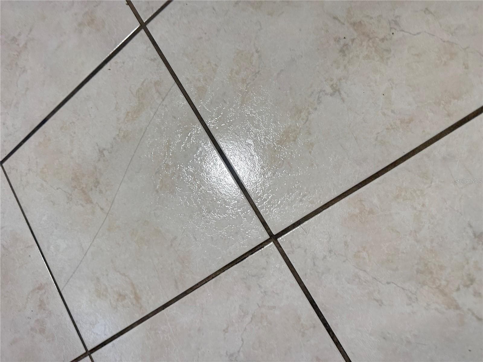 Flooring - 4238 PINEFIELD AVE, HOLIDAY