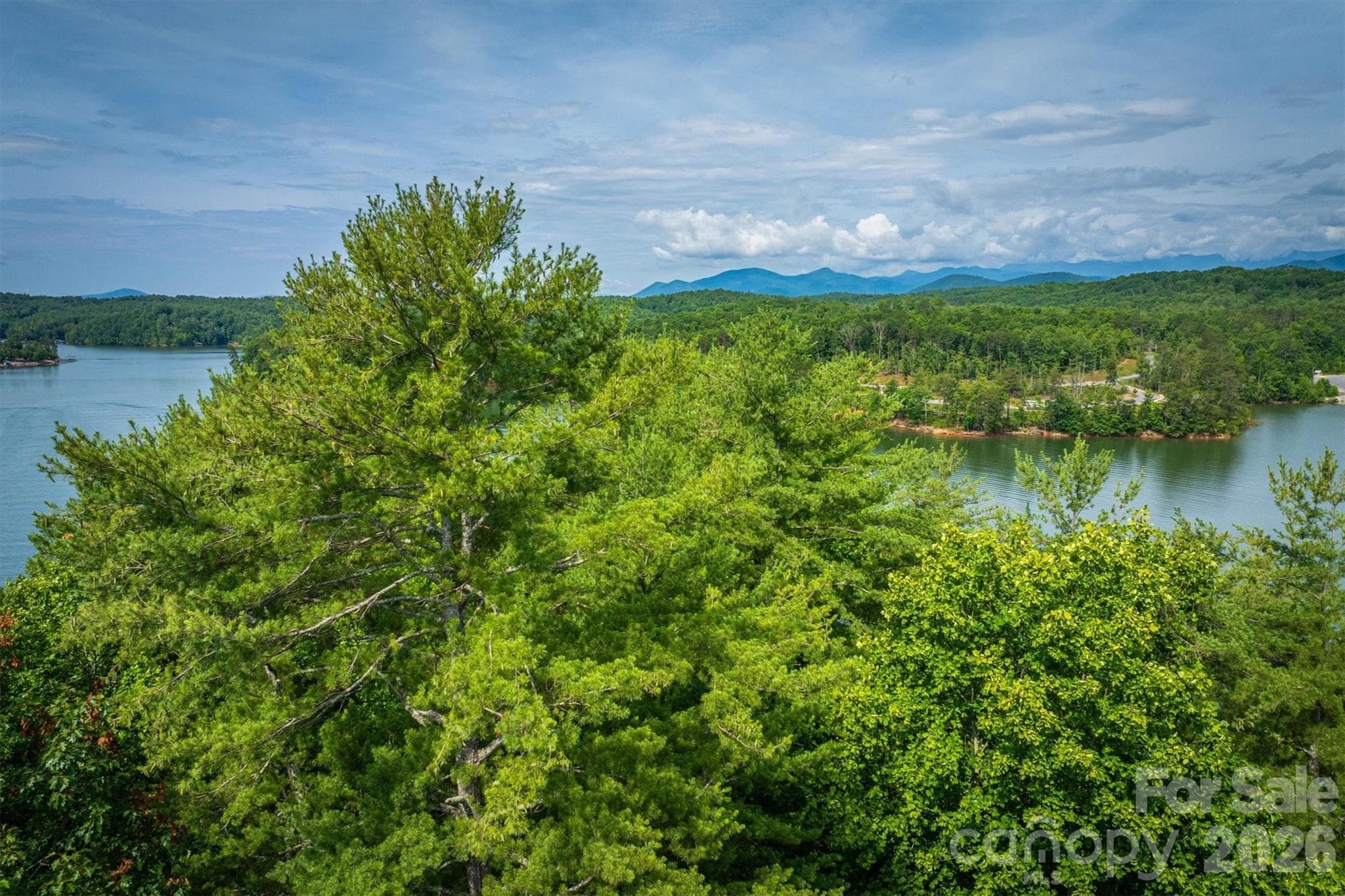 Lot at Nebo, photo 12 of 19