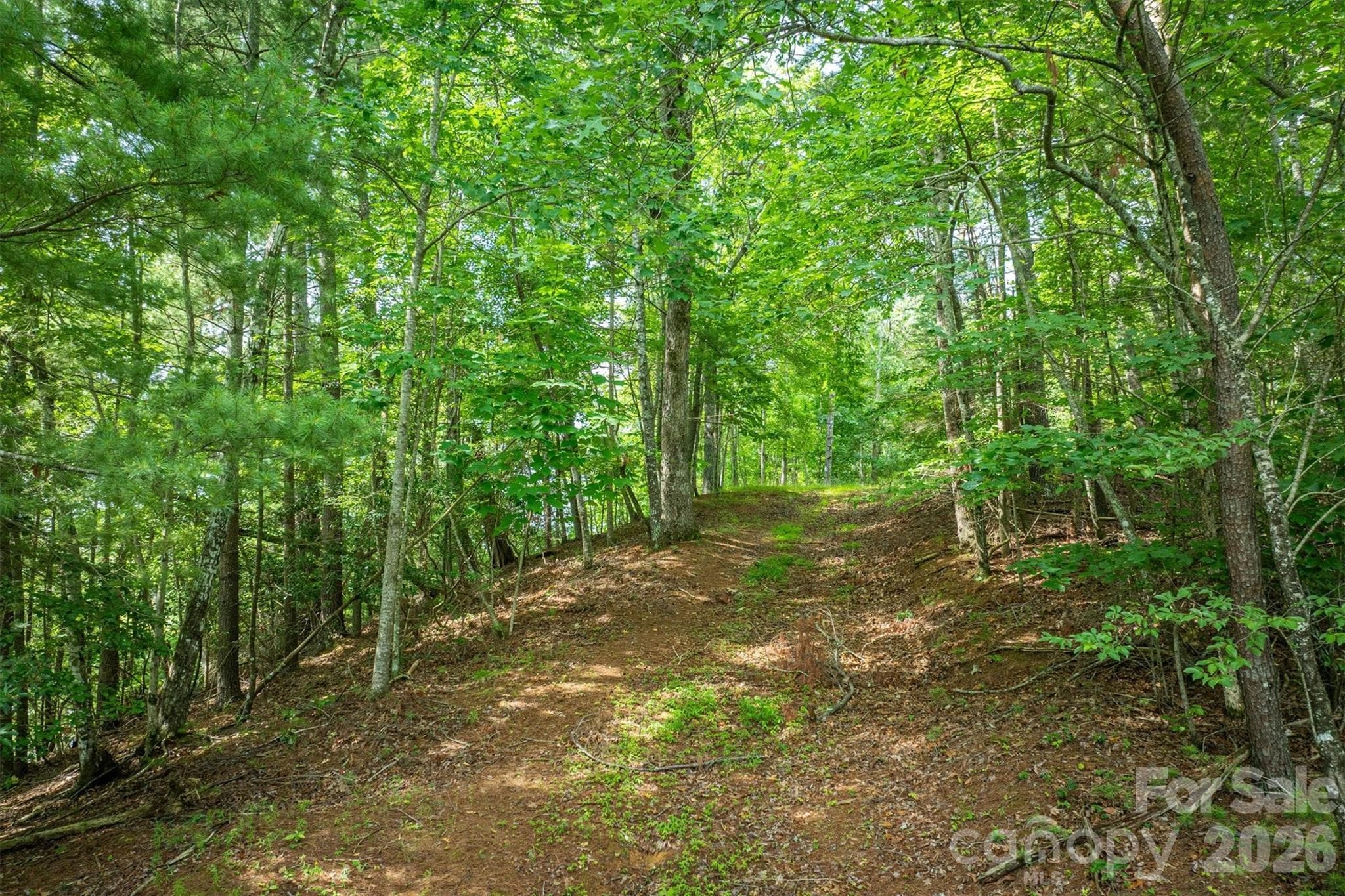 Lot at Nebo, photo 13 of 19