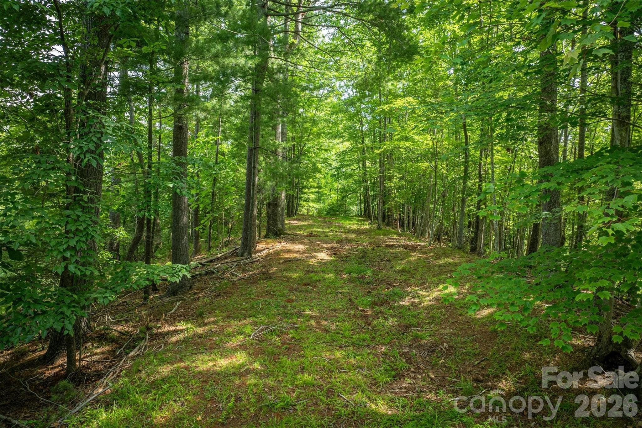 Lot at Nebo, photo 14 of 19