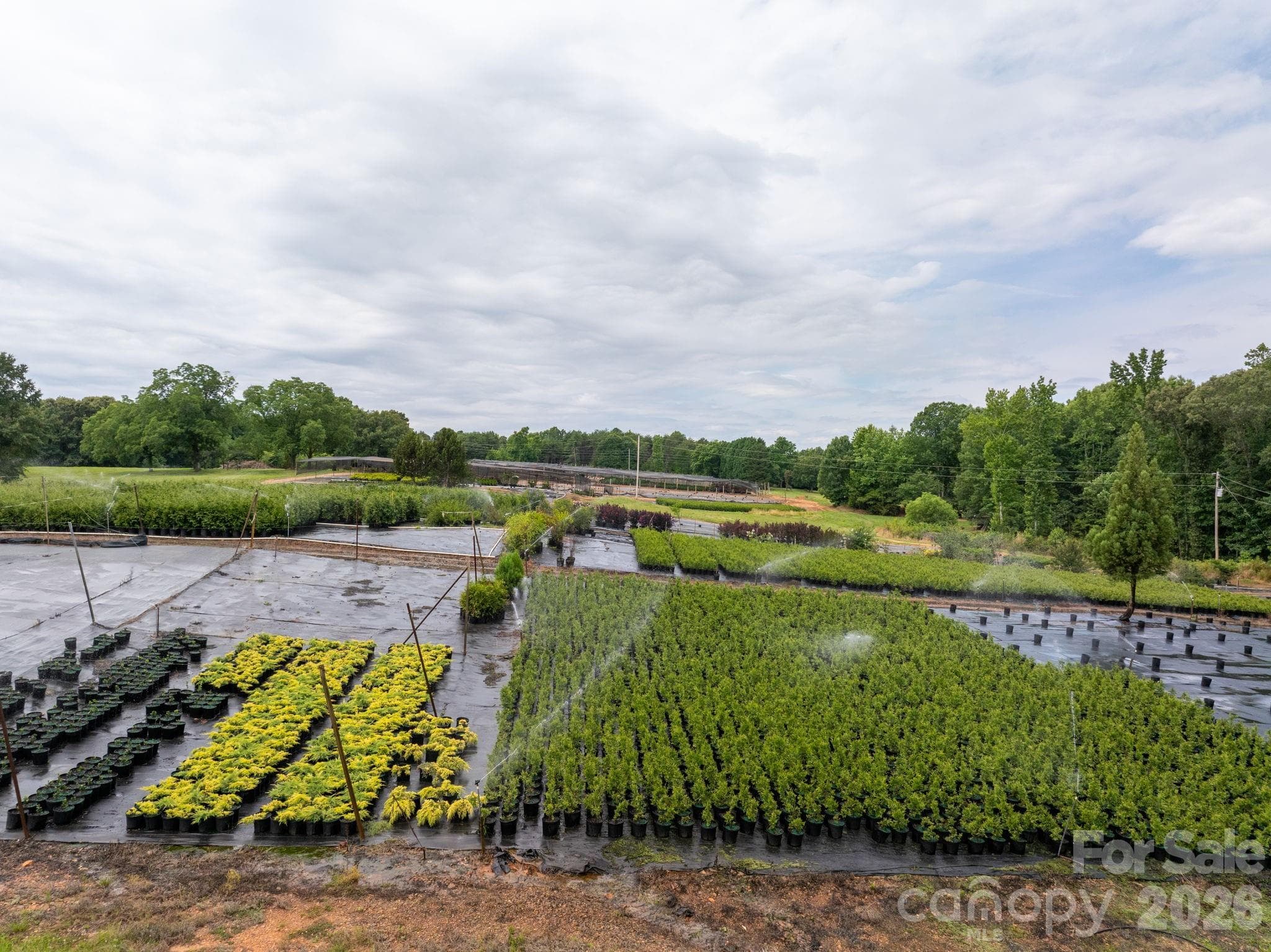 Farm at Rutherfordton, photo 3 of 38
