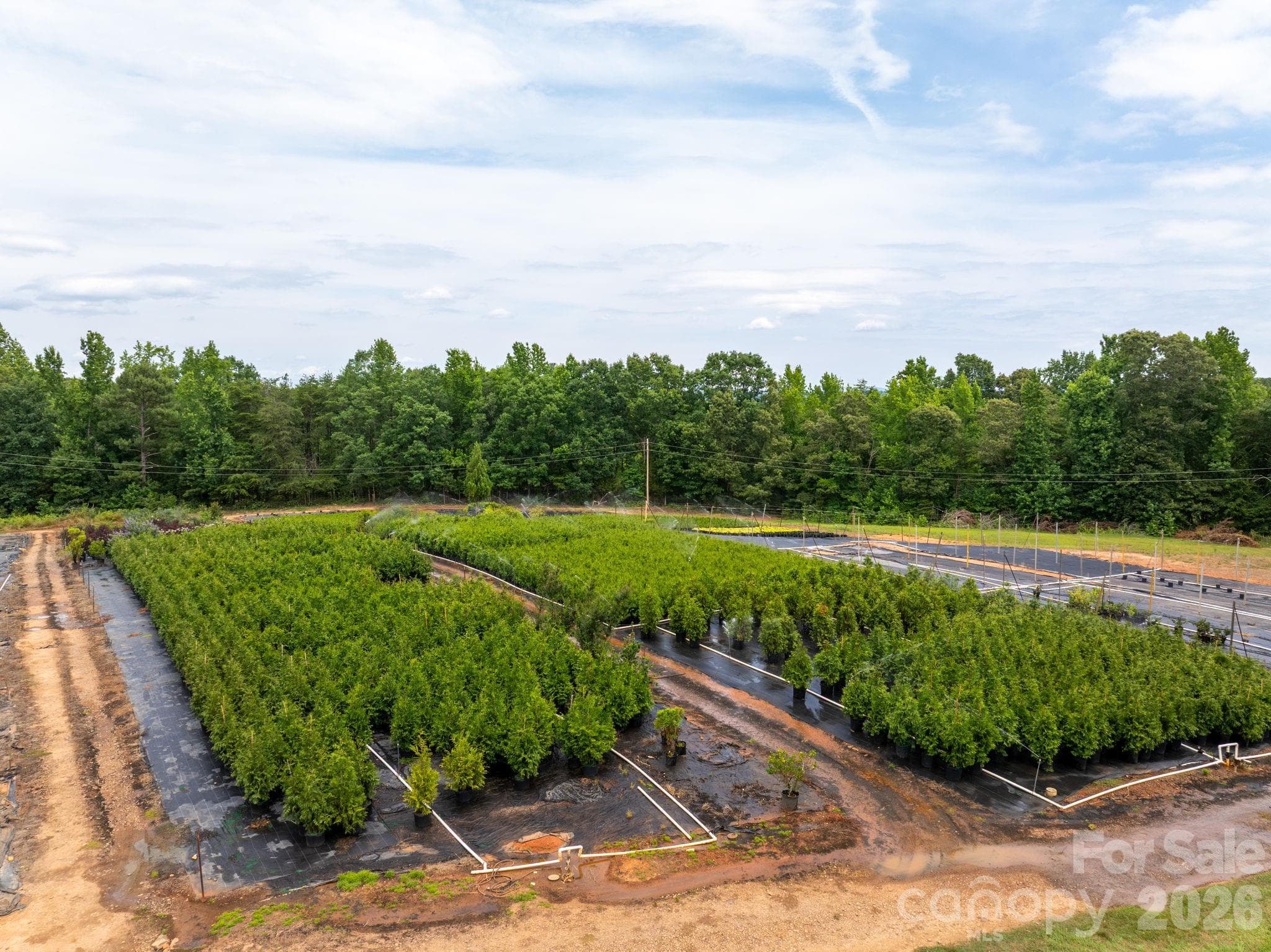 Farm at Rutherfordton, photo 4 of 38