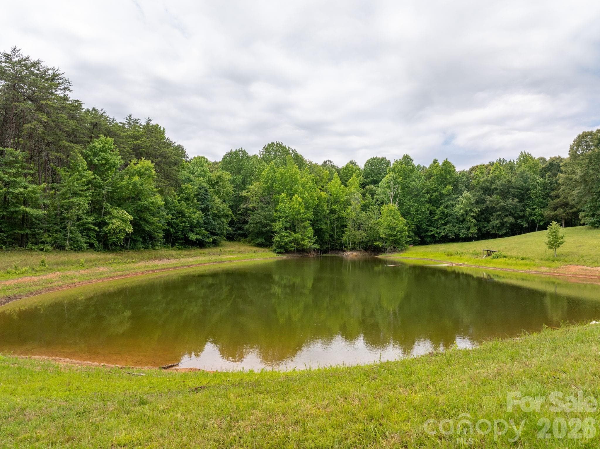 Farm at Rutherfordton, photo 8 of 38