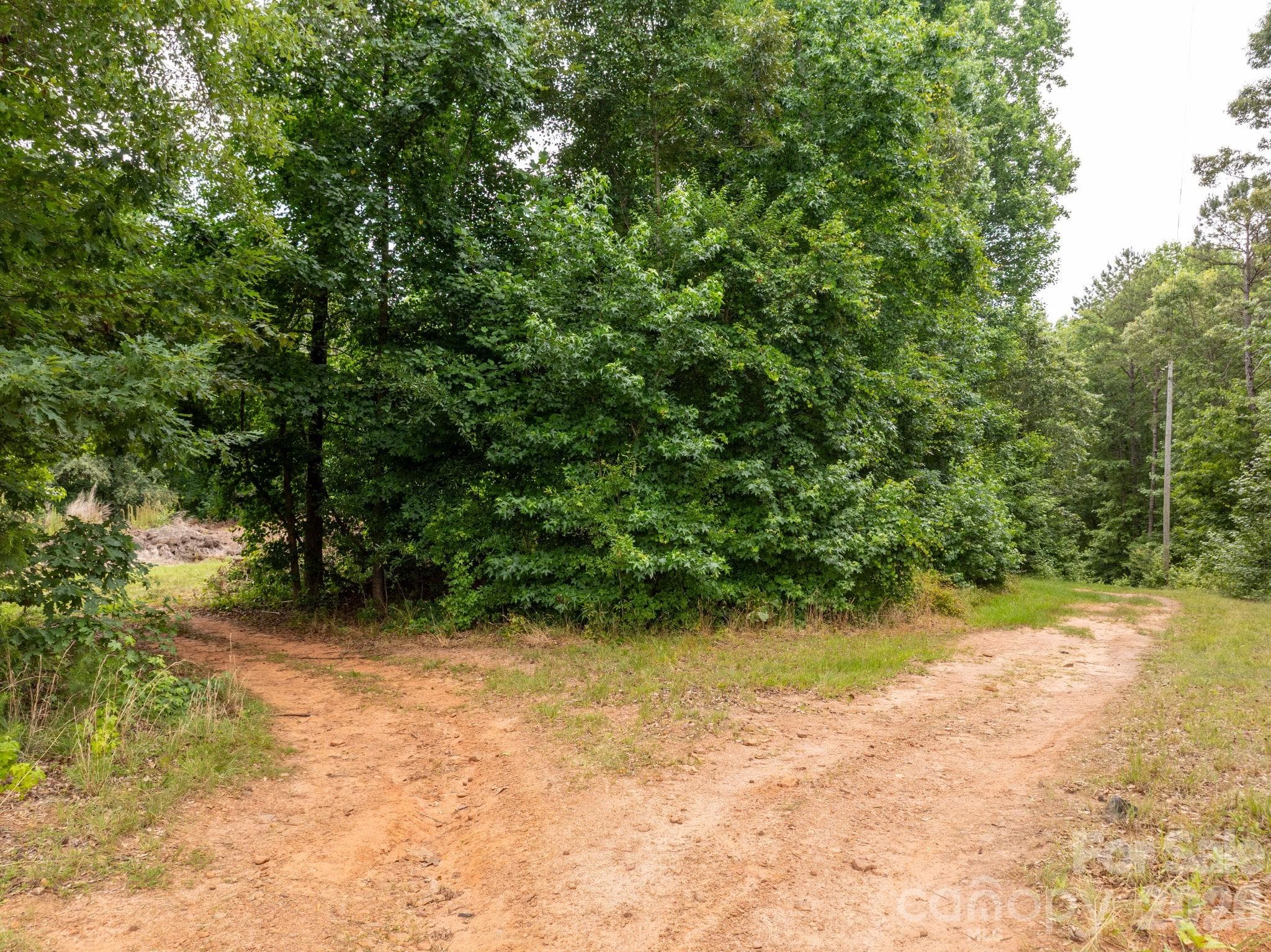 Farm at Rutherfordton, photo 10 of 38