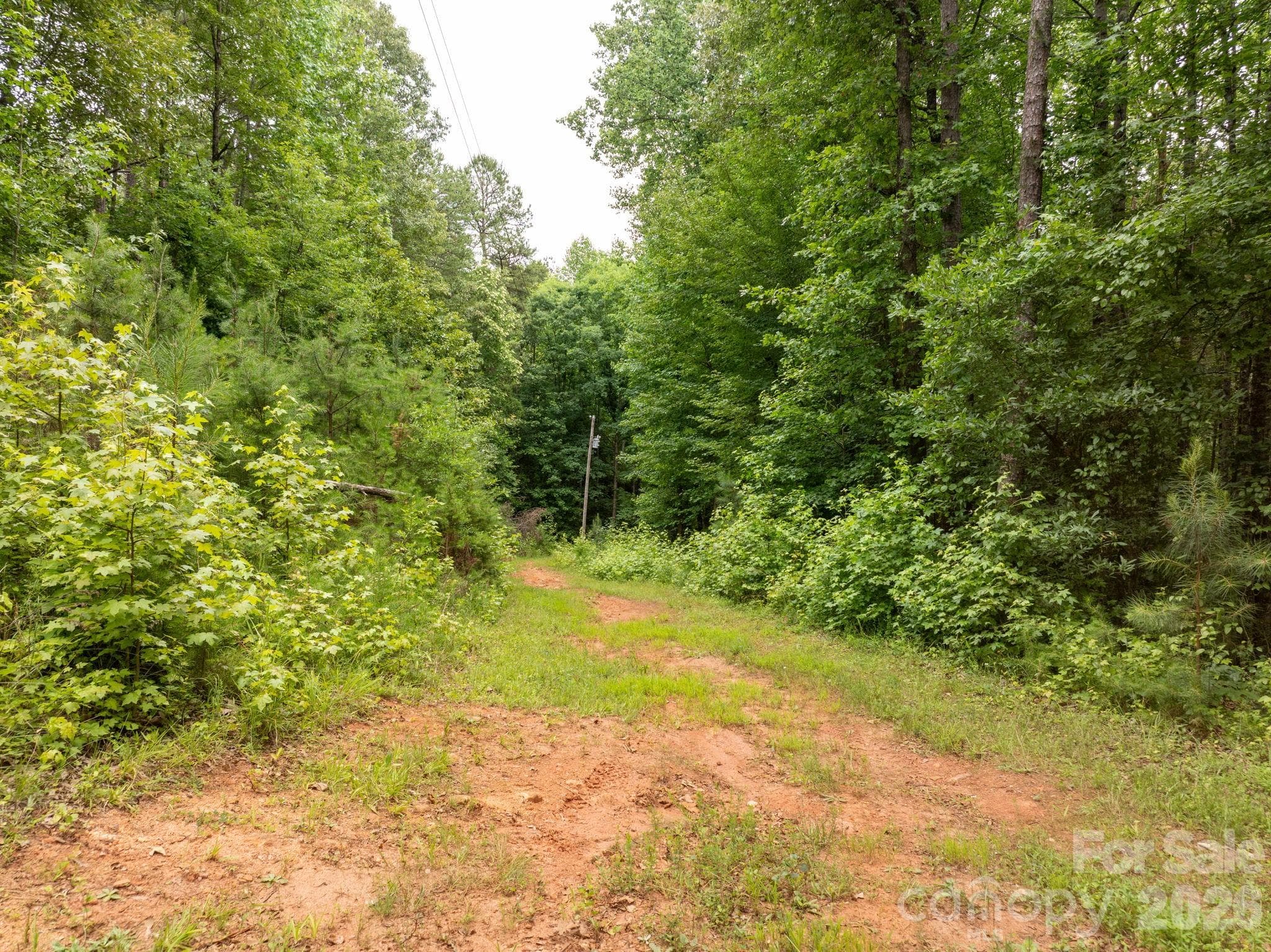 Farm at Rutherfordton, photo 11 of 38