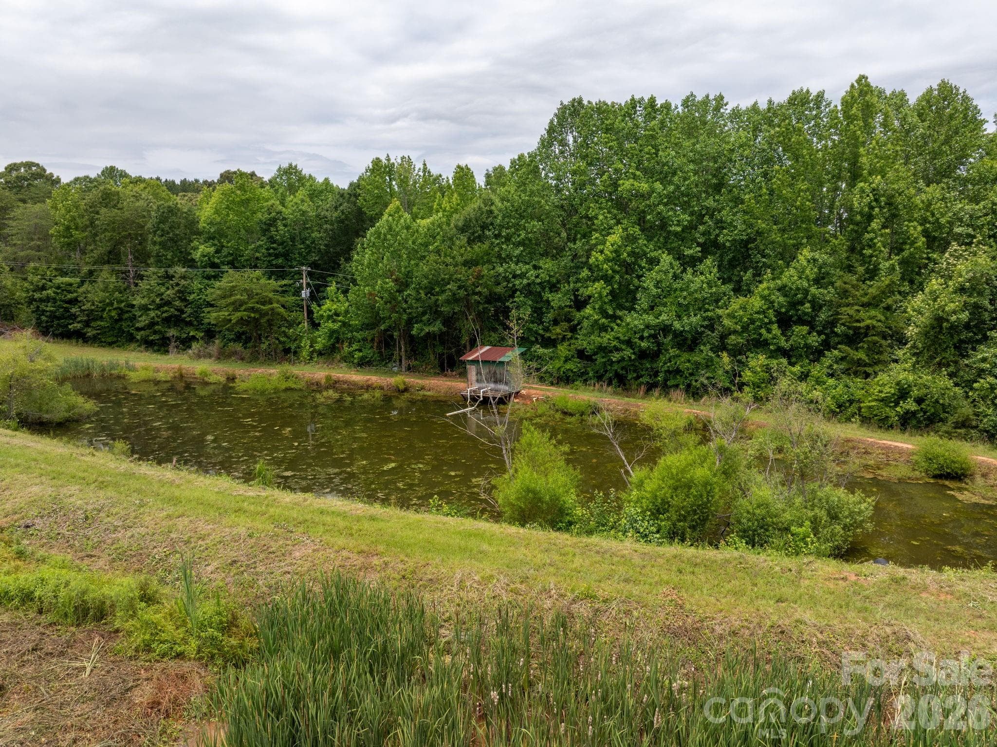 Farm at Rutherfordton, photo 12 of 38