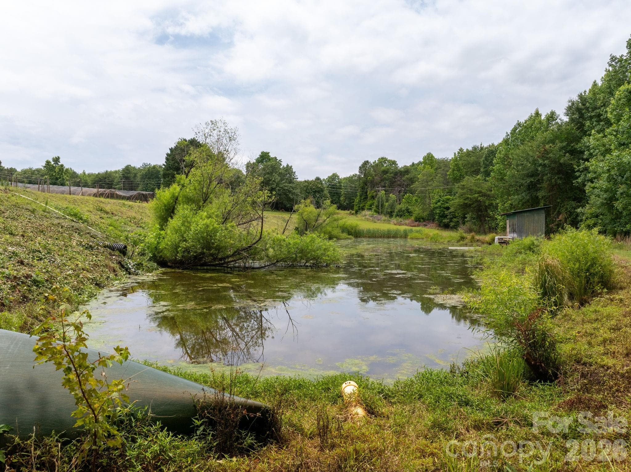 Farm at Rutherfordton, photo 13 of 38