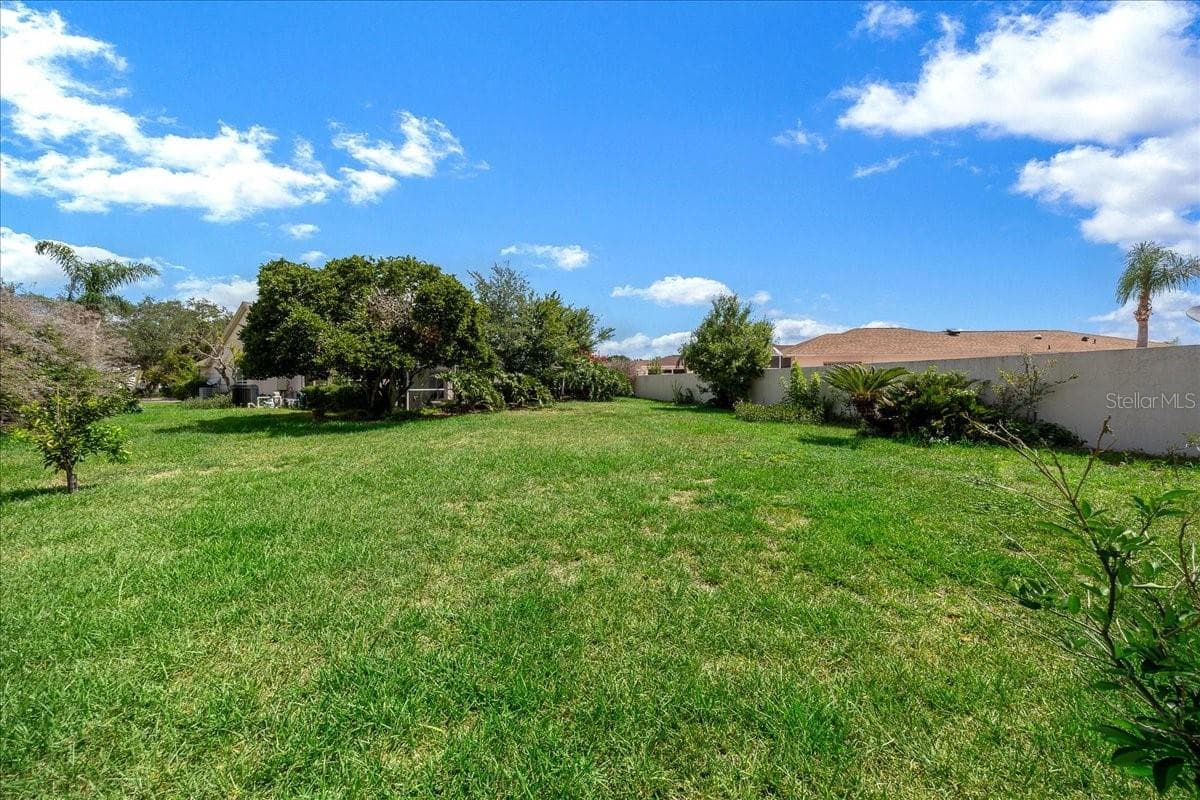 Privacy with Wall and Landscaping - VILLAGES SUMTER, THE VILLAGES
