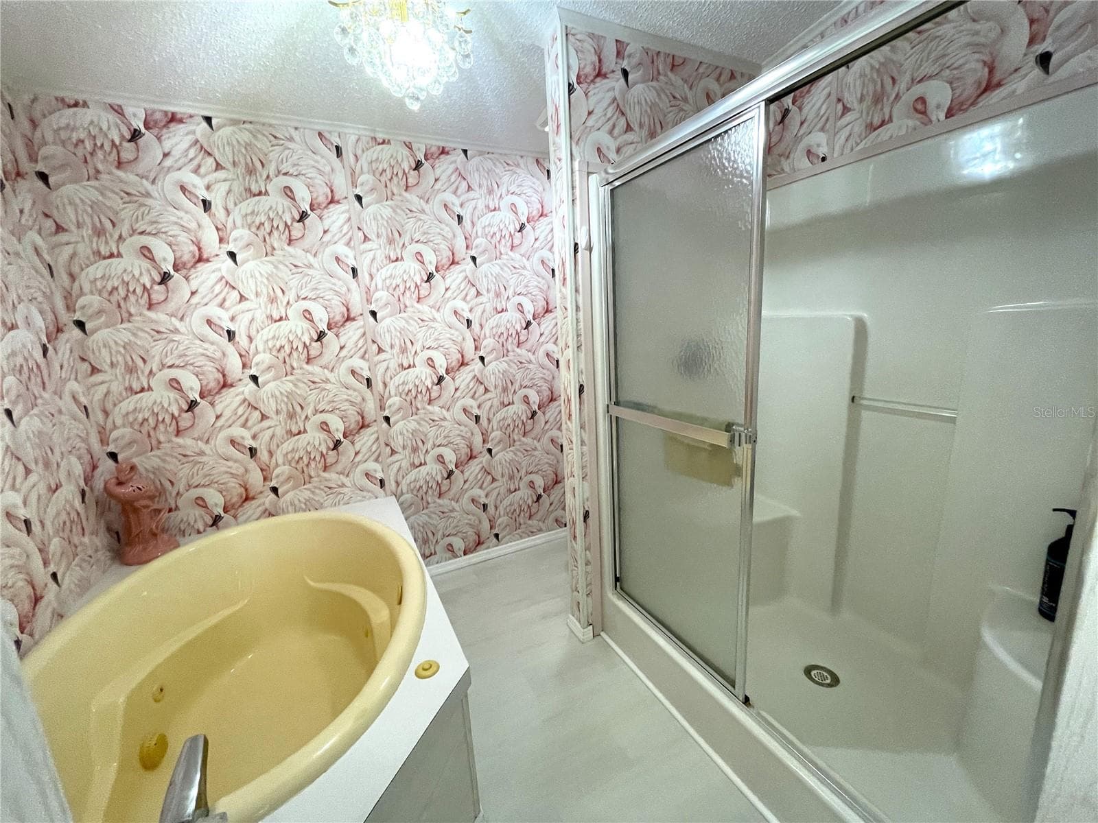 separate room with a jetted spa, walk-in shower and cammode - 24437 HARBORVIEW RD #70, PORT CHARLOTTE