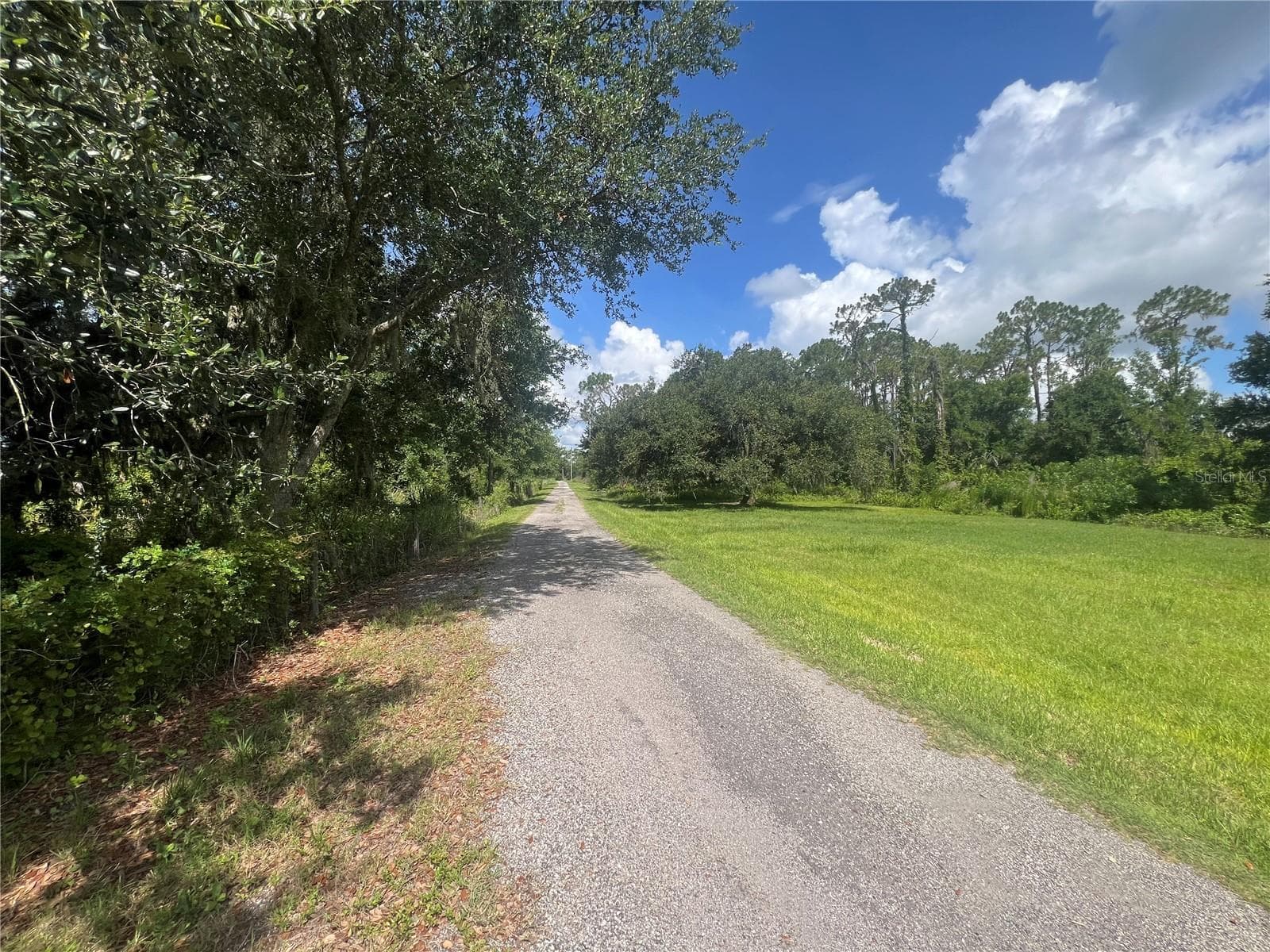 Land at 8755 WAUCHULA RD, MYAKKA CITY, photo 2 of 38