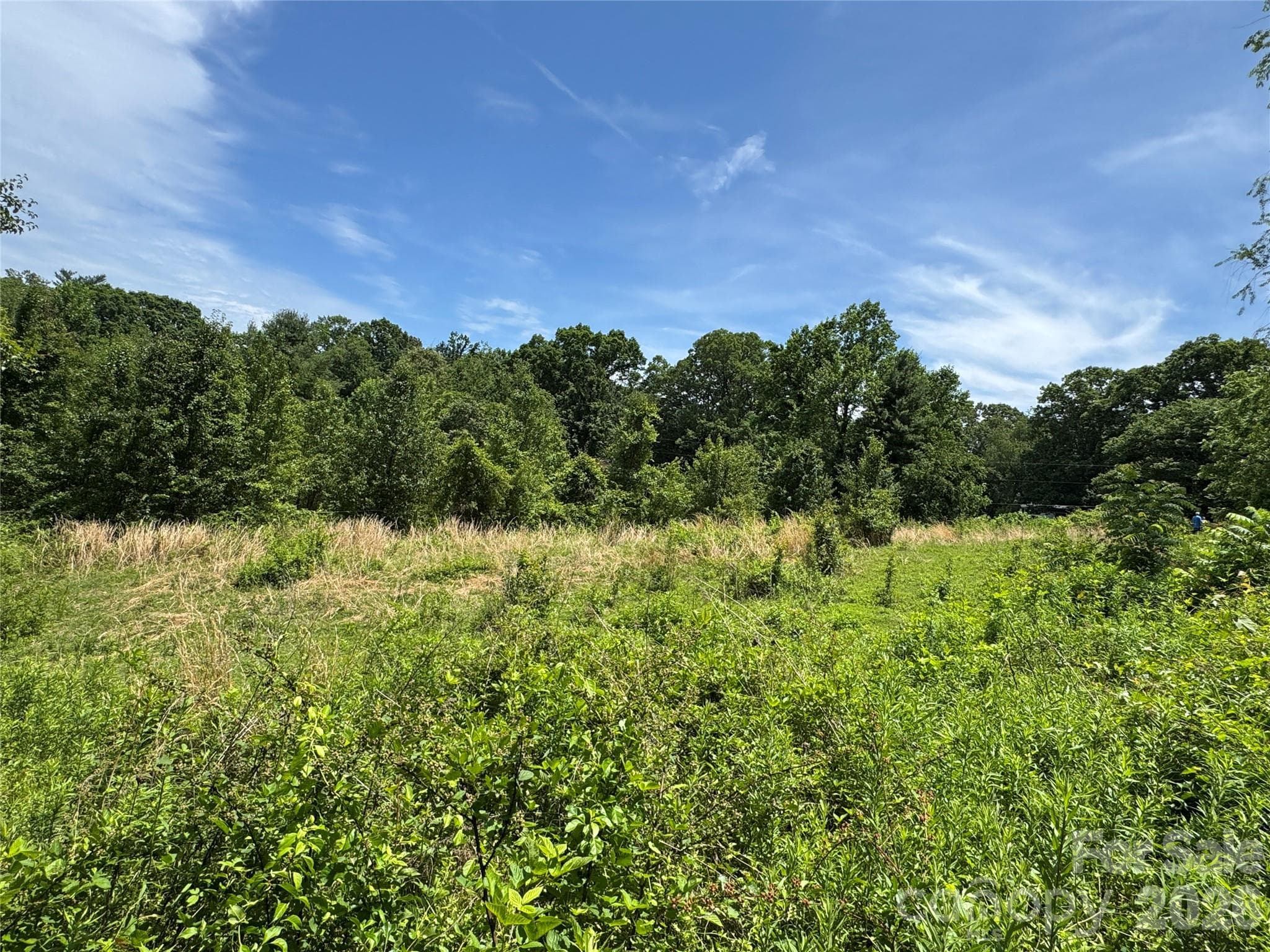 Lot at 99999 Duckett Road, Candler, photo 6 of 34