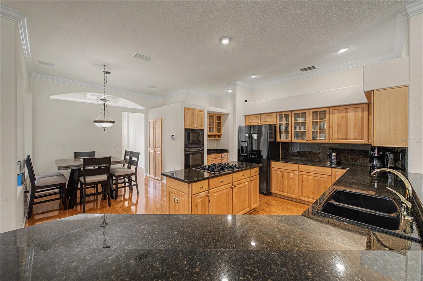 Single Family Residence at 18615 CHEMILLE DR, LUTZ, photo 8 of 40
