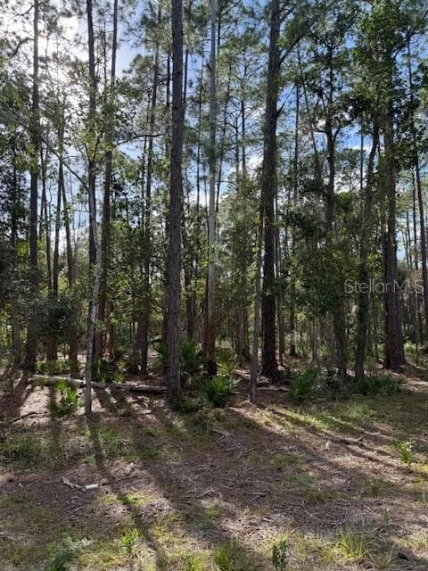 207 OCALA CT