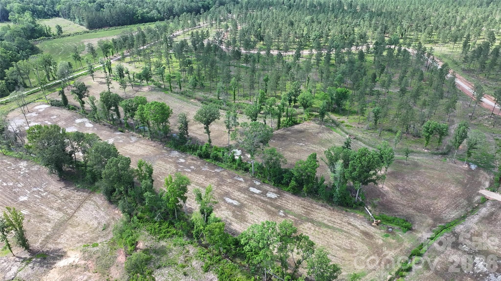 Duck Impoundment - Peachland