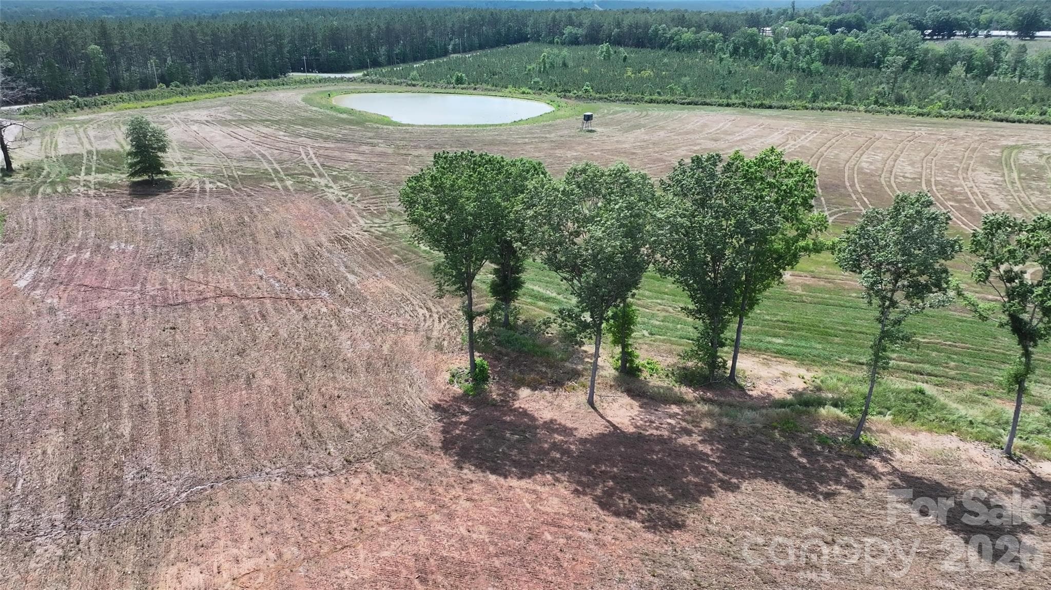Open Fields - Peachland