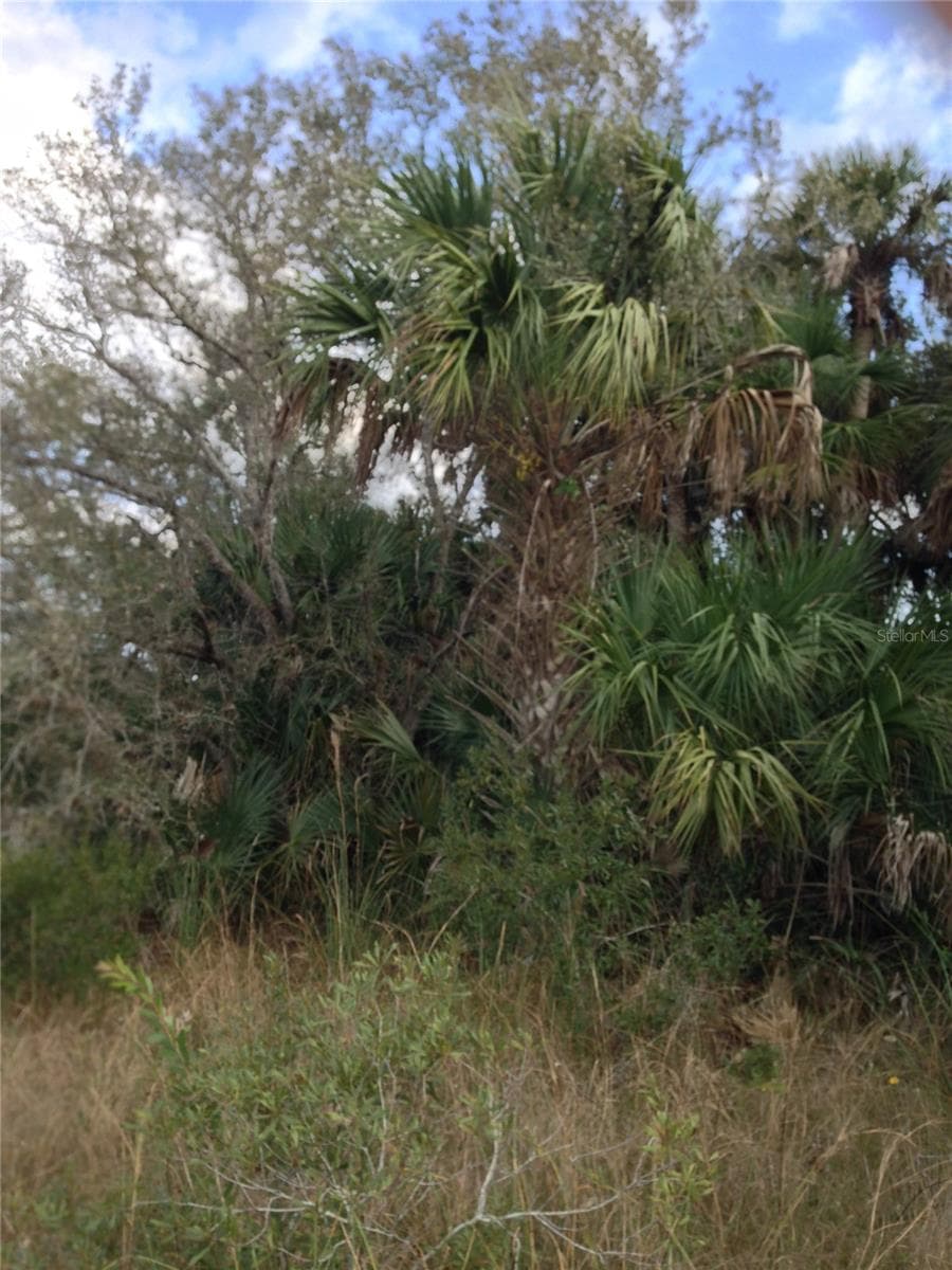 Photo taken on property. - 50670 BERMONT RD, PUNTA GORDA
