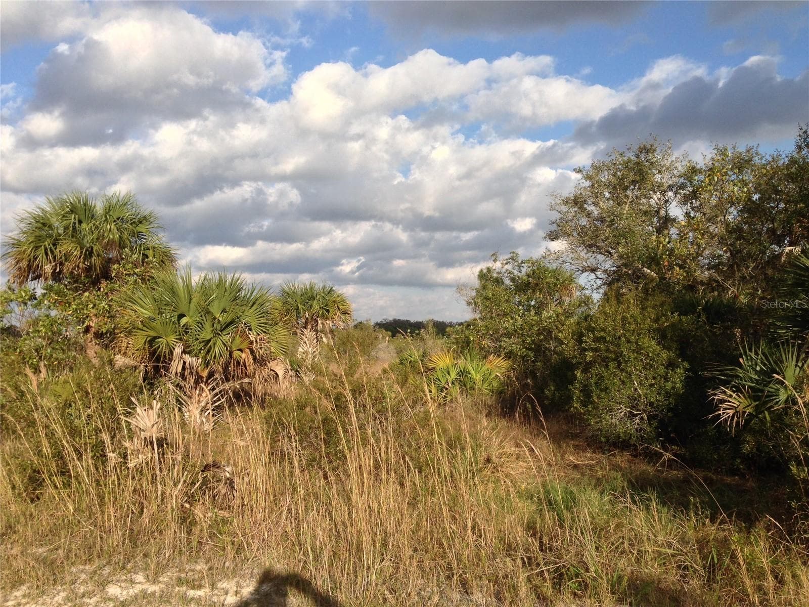 Photo from the road. - 50670 BERMONT RD, PUNTA GORDA