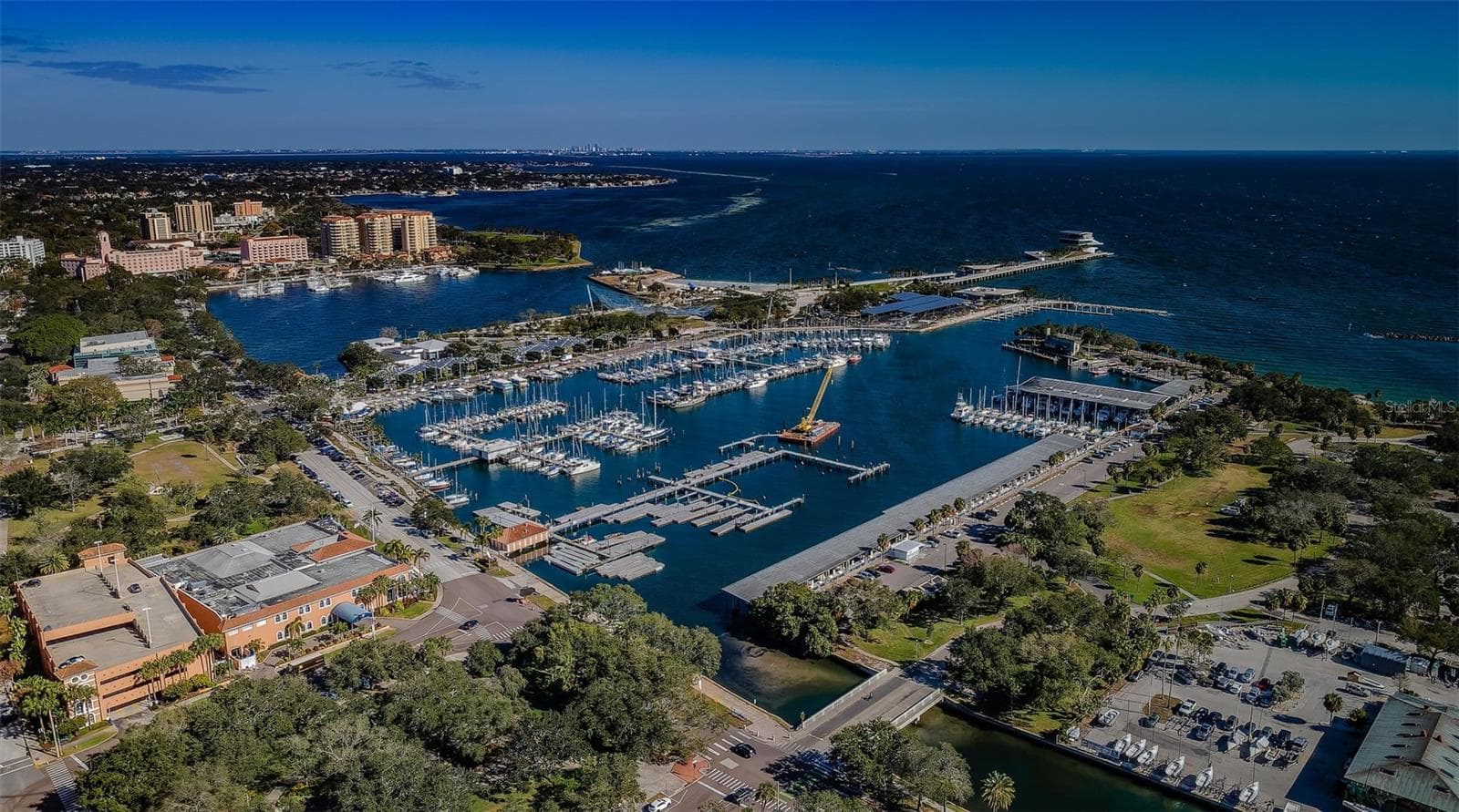 The Kapok Tree at the Yacht Club and Marina is a magnificent fixture you must see. - 732 NE OAK ST, ST PETERSBURG