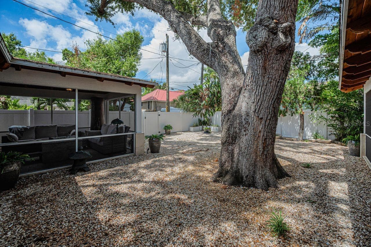 The Oak tree has been maliciously cared for and is over 100 years old. - 732 NE OAK ST, ST PETERSBURG