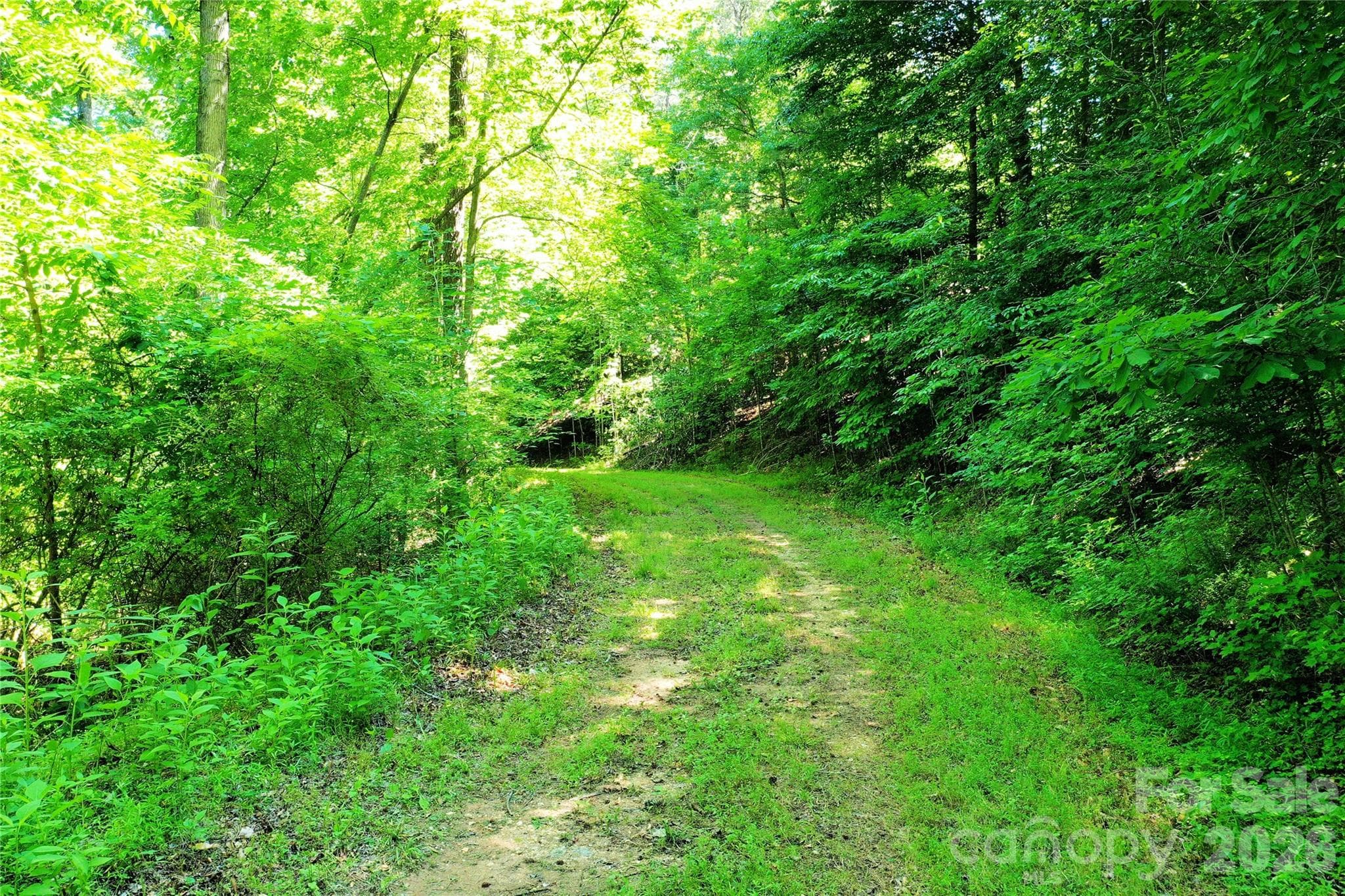 Acreage at TBD River Road, Tryon, photo 4 of 31