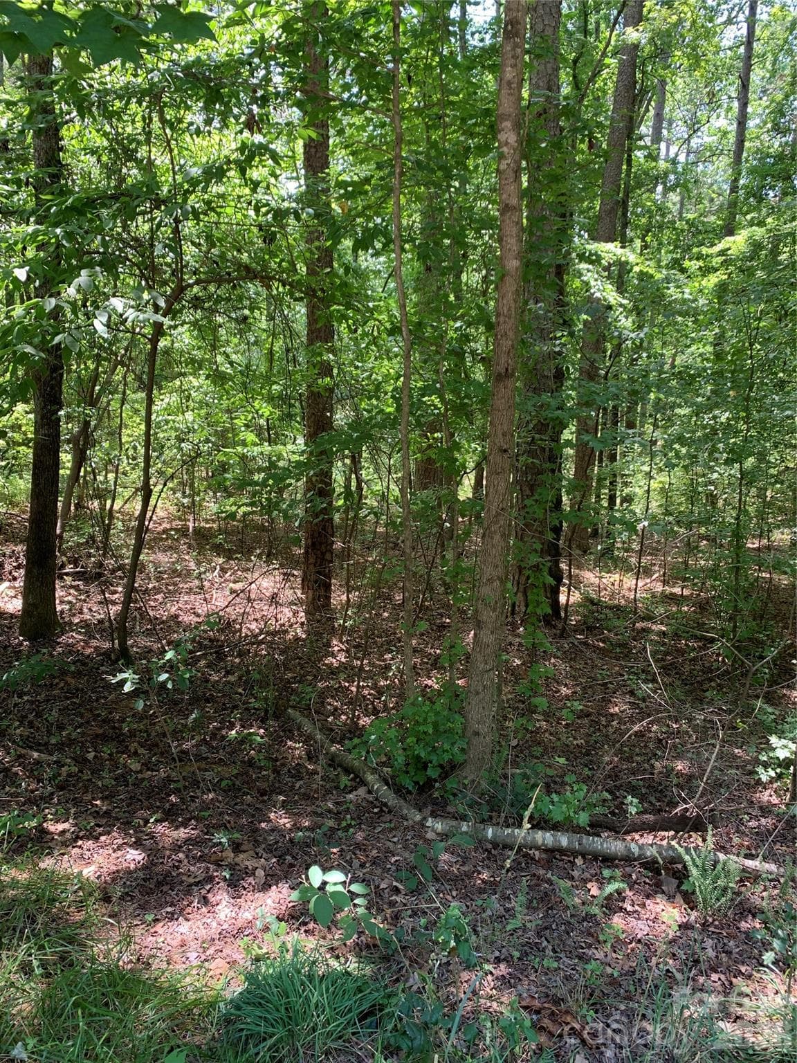 Lot at 220 Lakewood Court, New London, photo 2 of 2