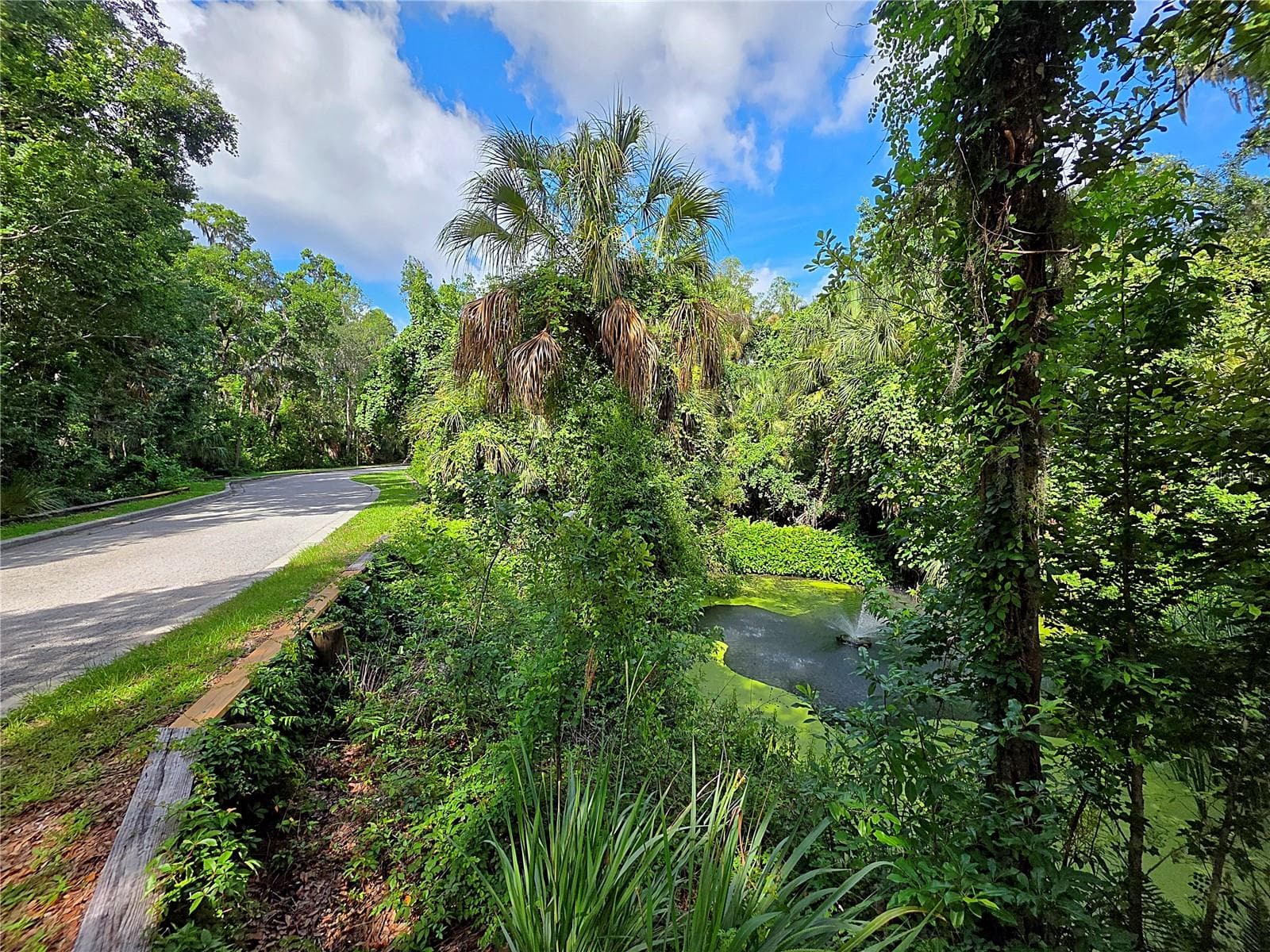 Land at 4876 RAMBLING RIVER RD, BRANDON, photo 10 of 11