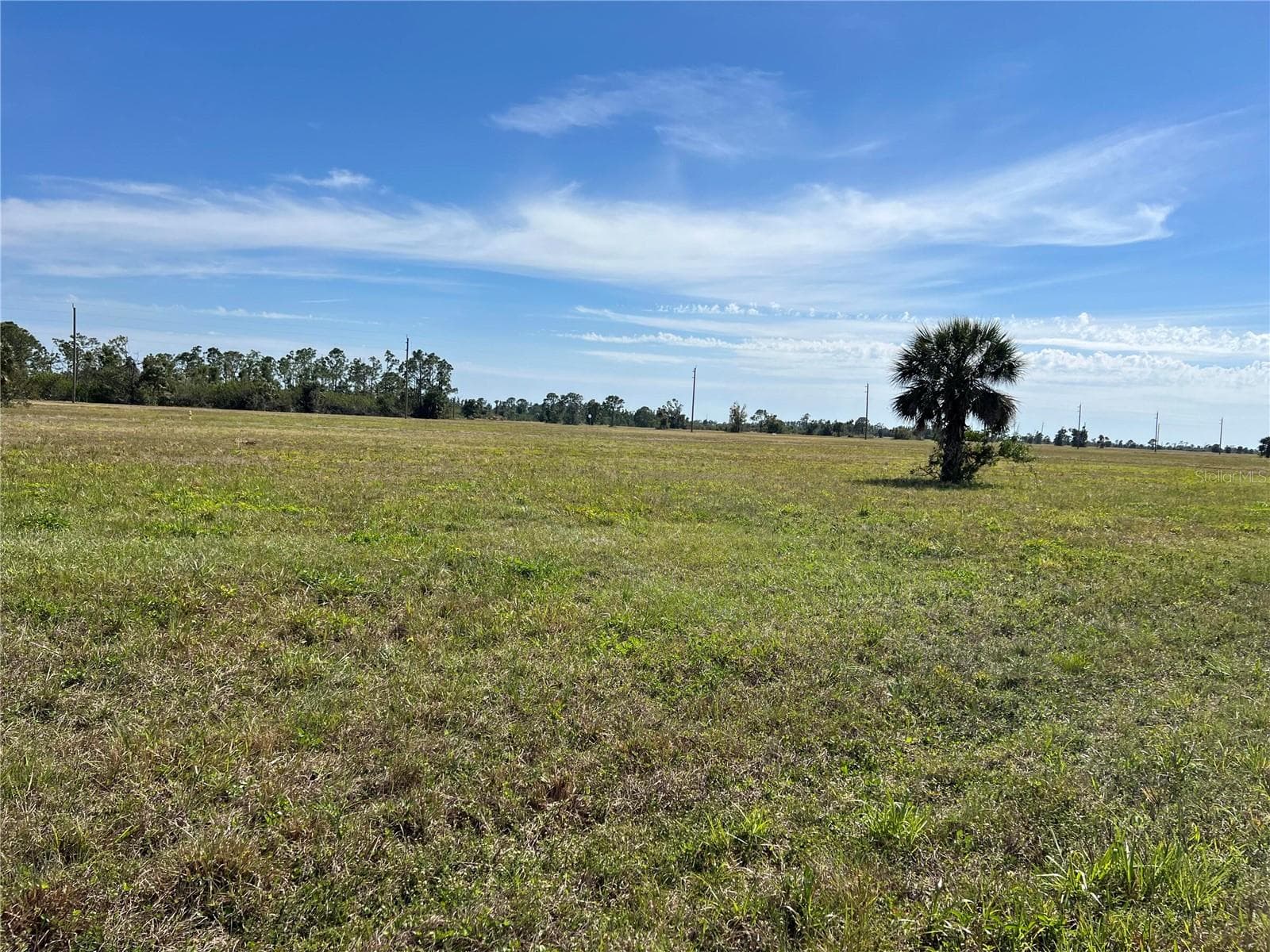 Land at 12368 GREENLING WAY, PLACIDA, photo 3 of 13