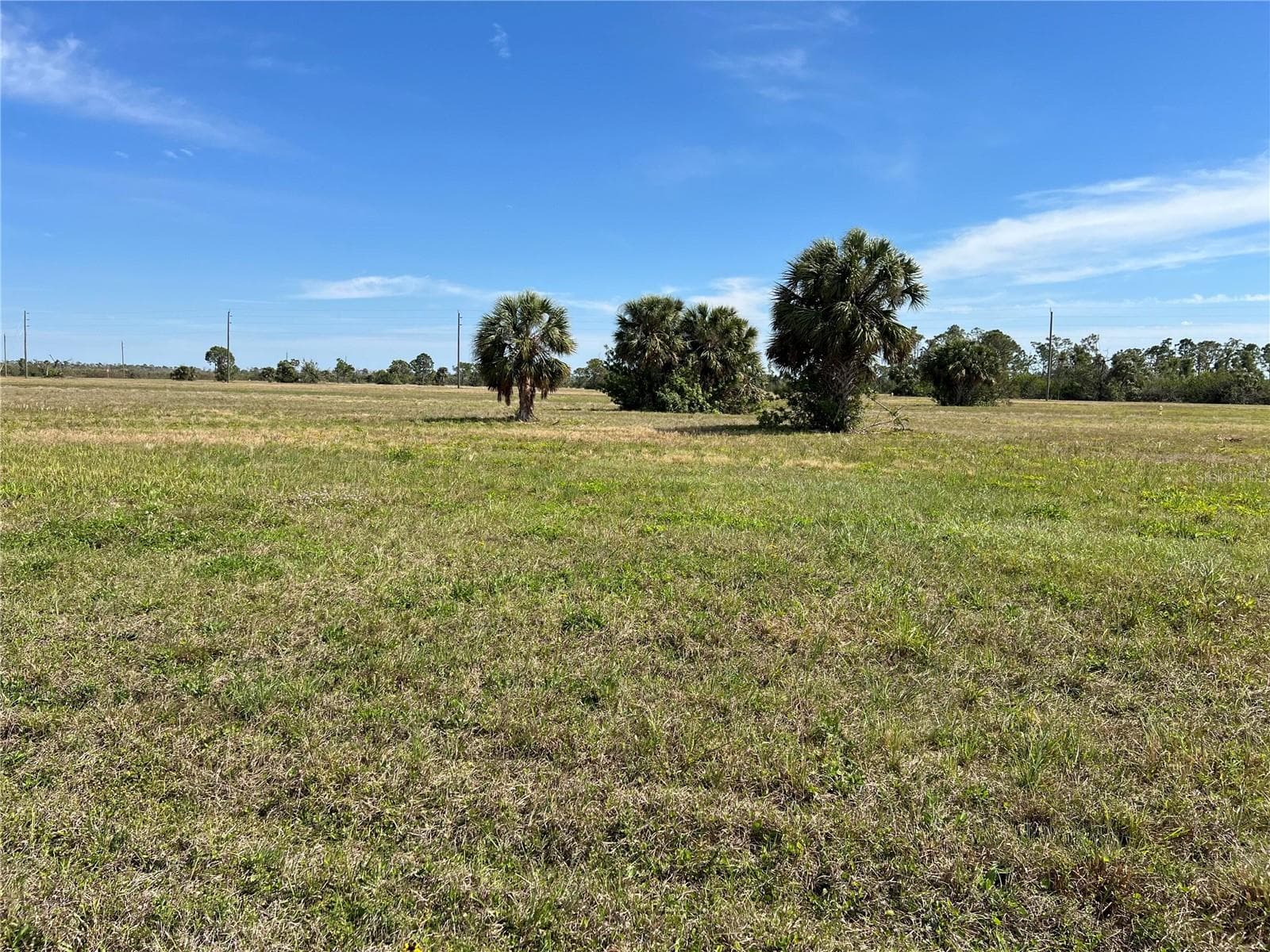 Land at 12368 GREENLING WAY, PLACIDA, photo 7 of 13