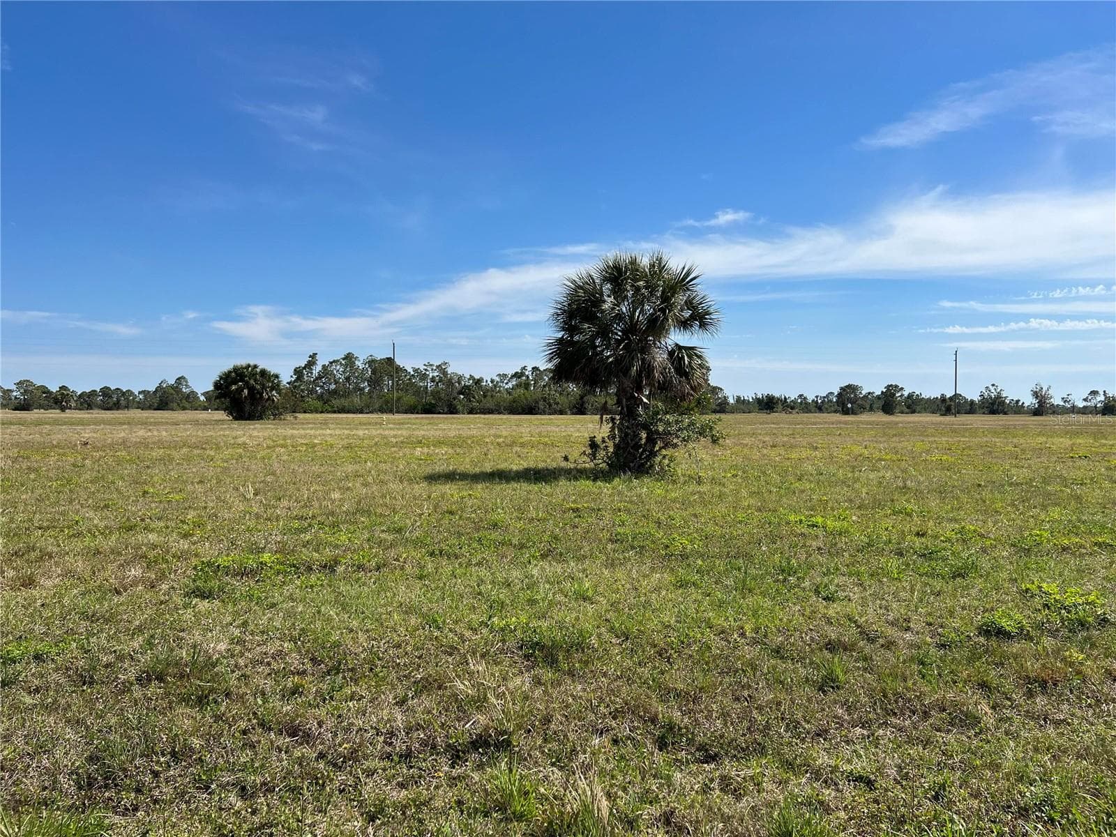 Land at 12368 GREENLING WAY, PLACIDA, photo 8 of 13